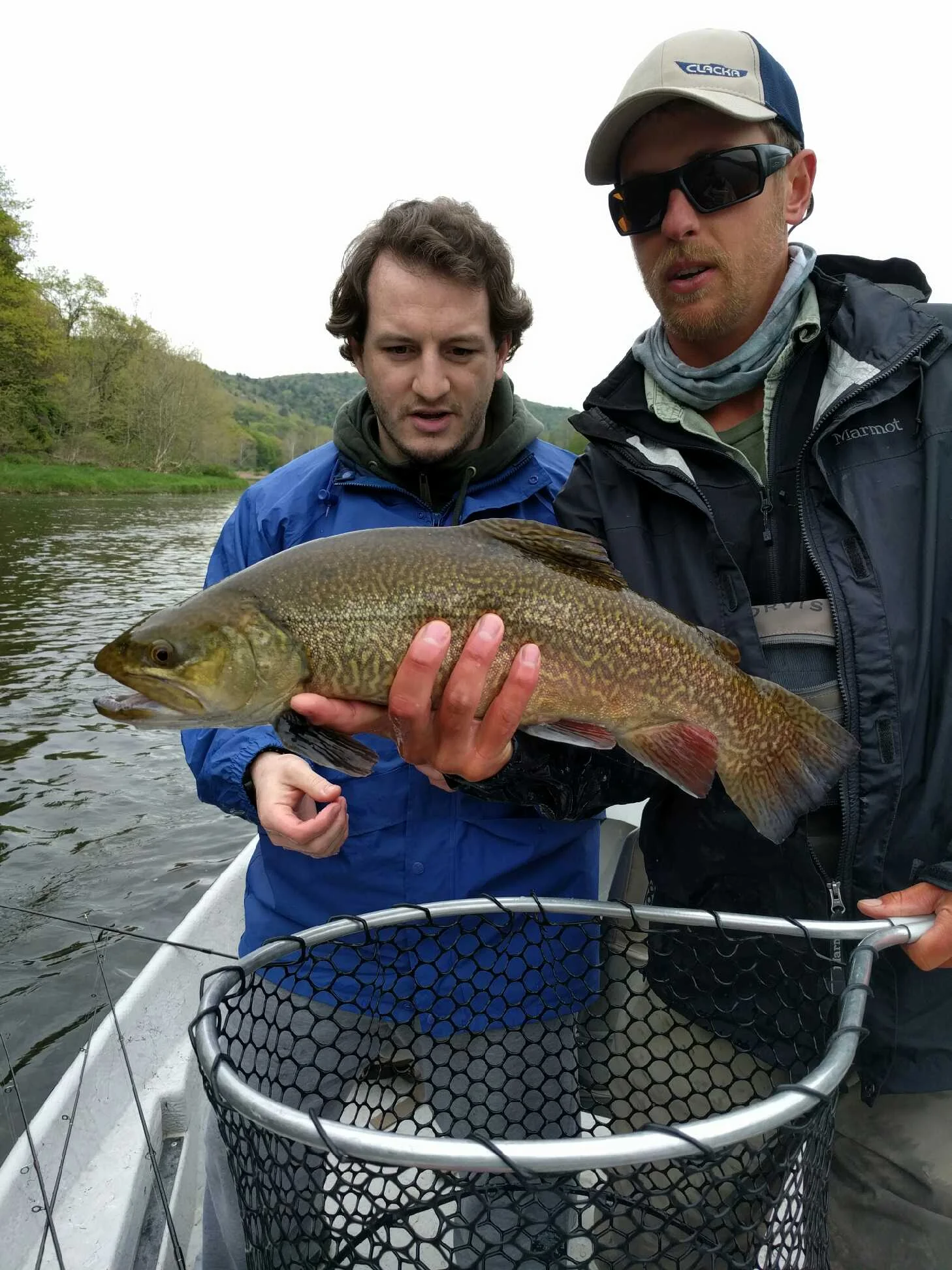 23" Tiger trout for Chris M. 