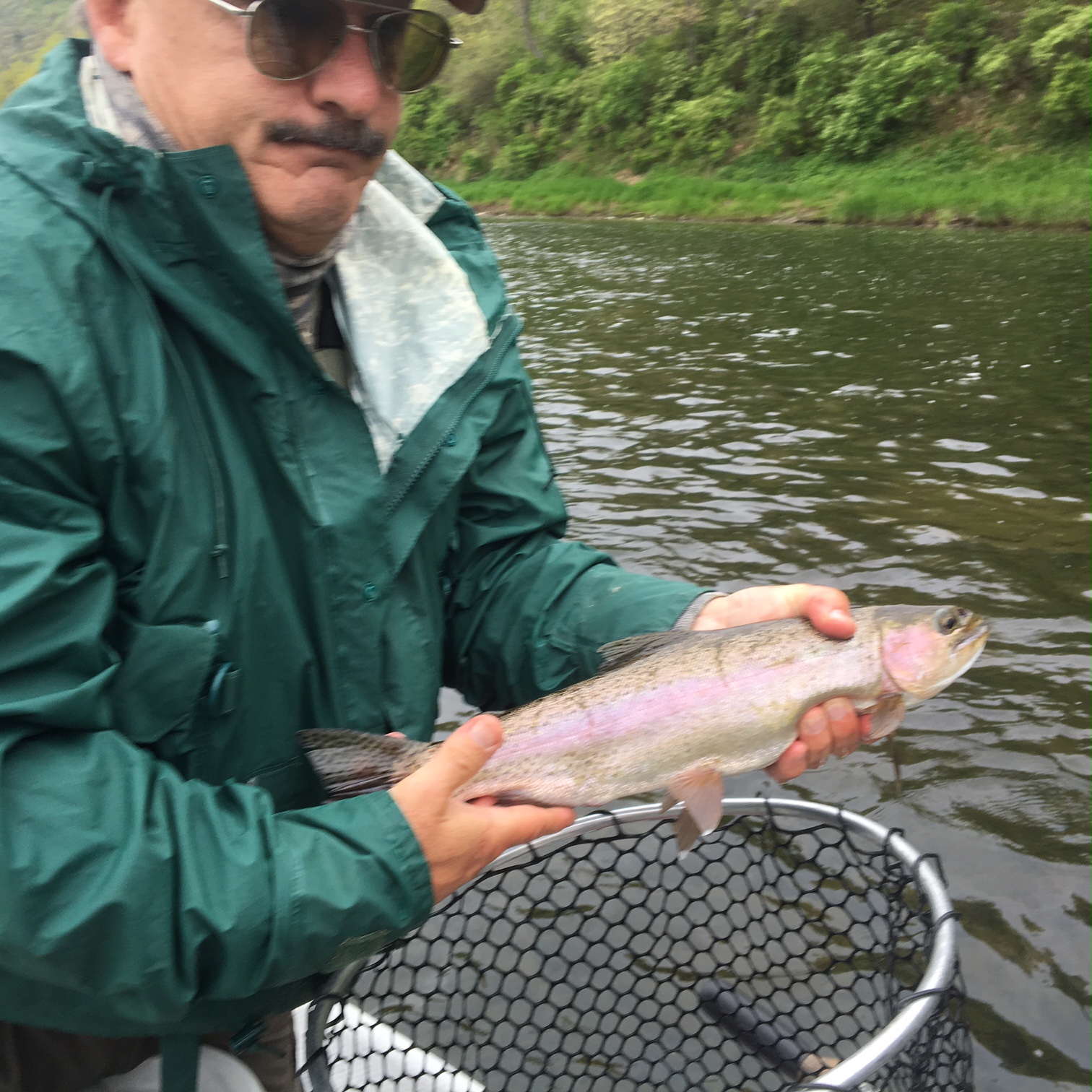 20" Wild Rainbow trout for Jim M.