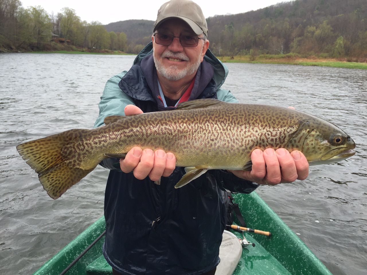 23" Strong fought Tiger Trout!