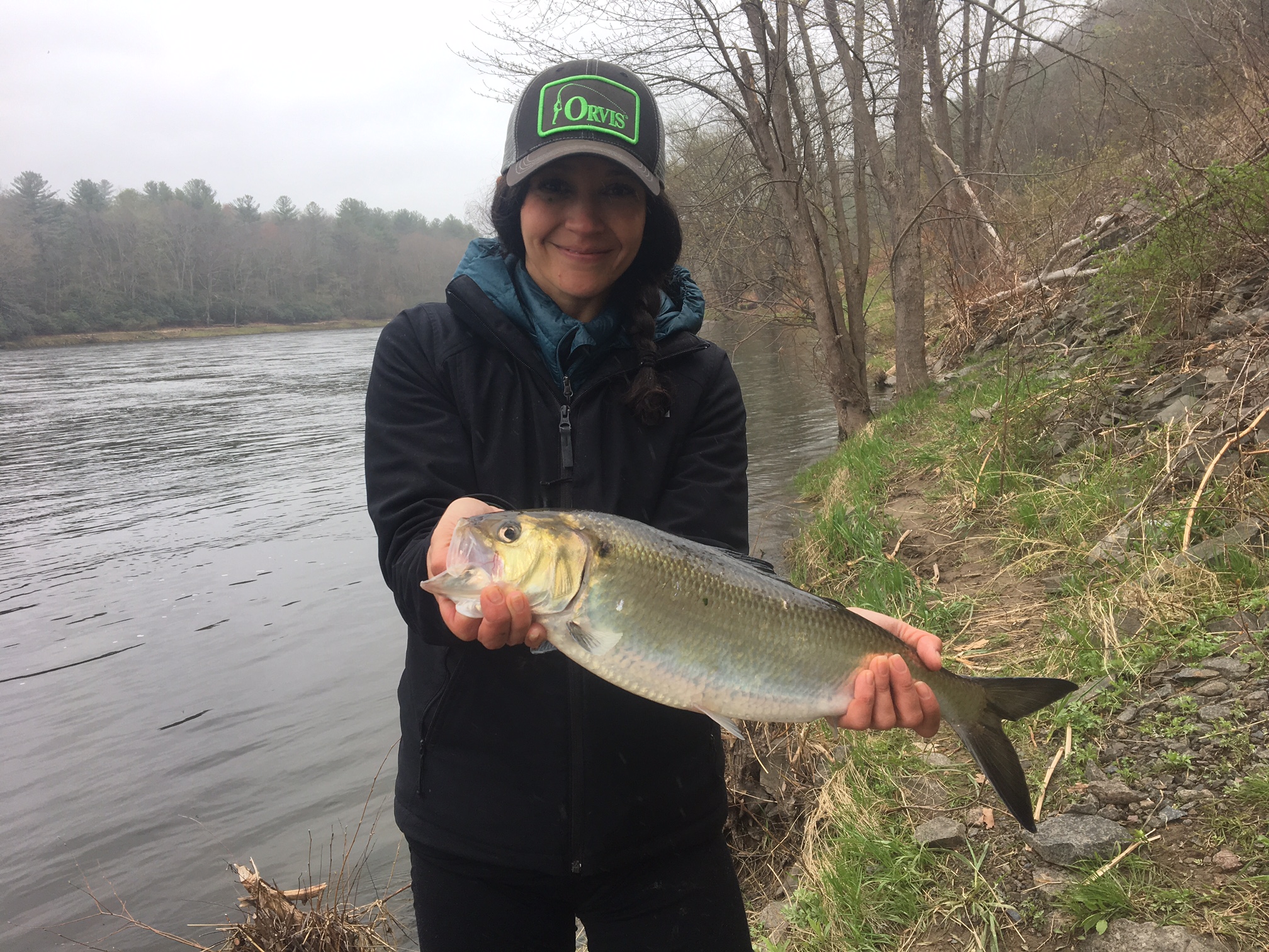 Bianca with a big Roe Shad!
