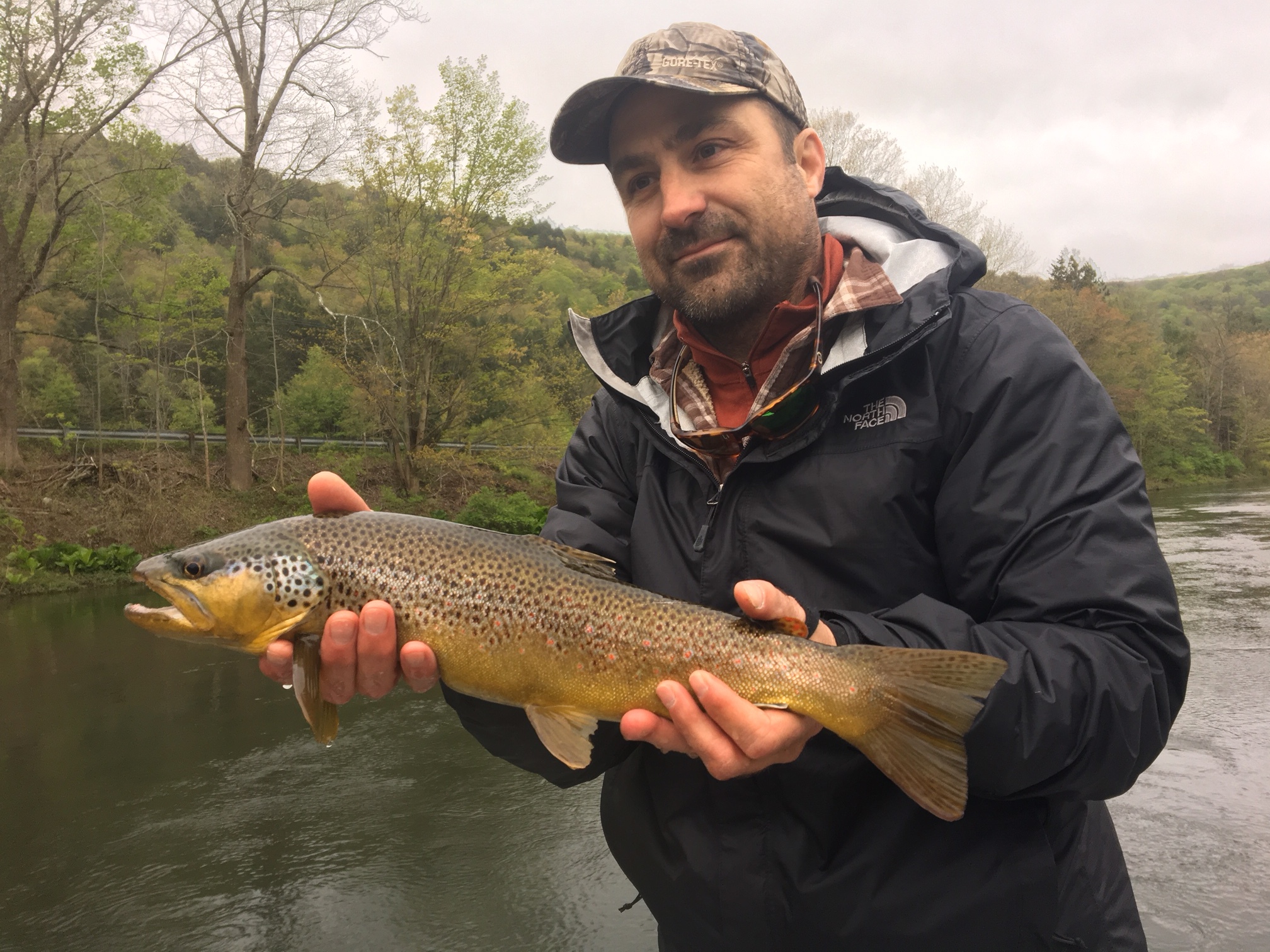 19" Brown for Ralph!!!
