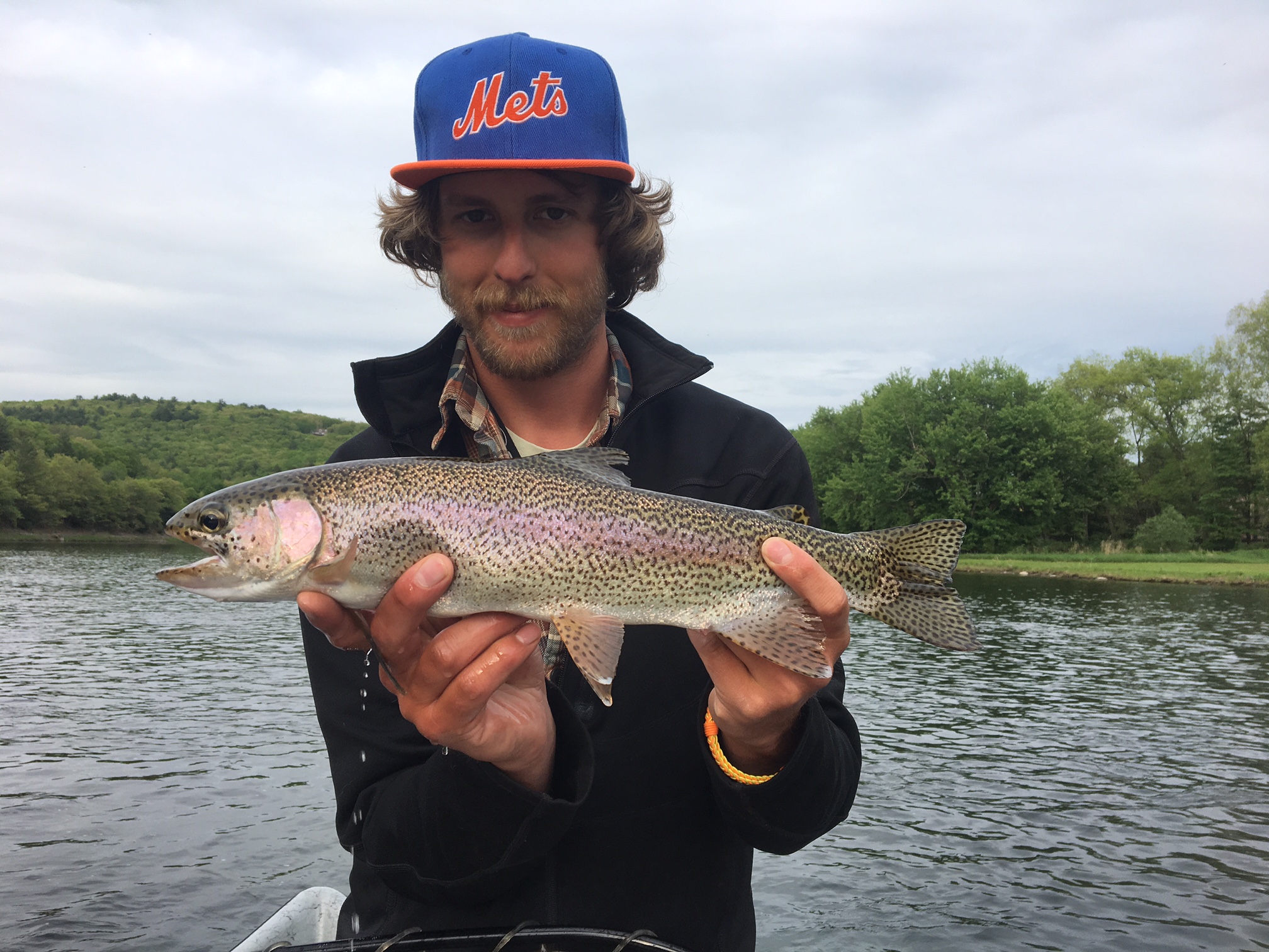 Another Rainbow