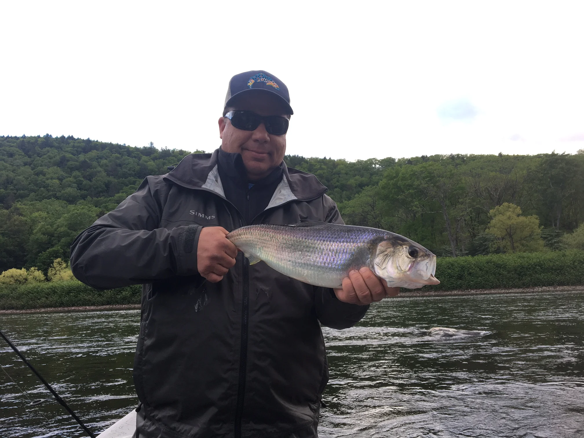 Rob with a nice American Shad