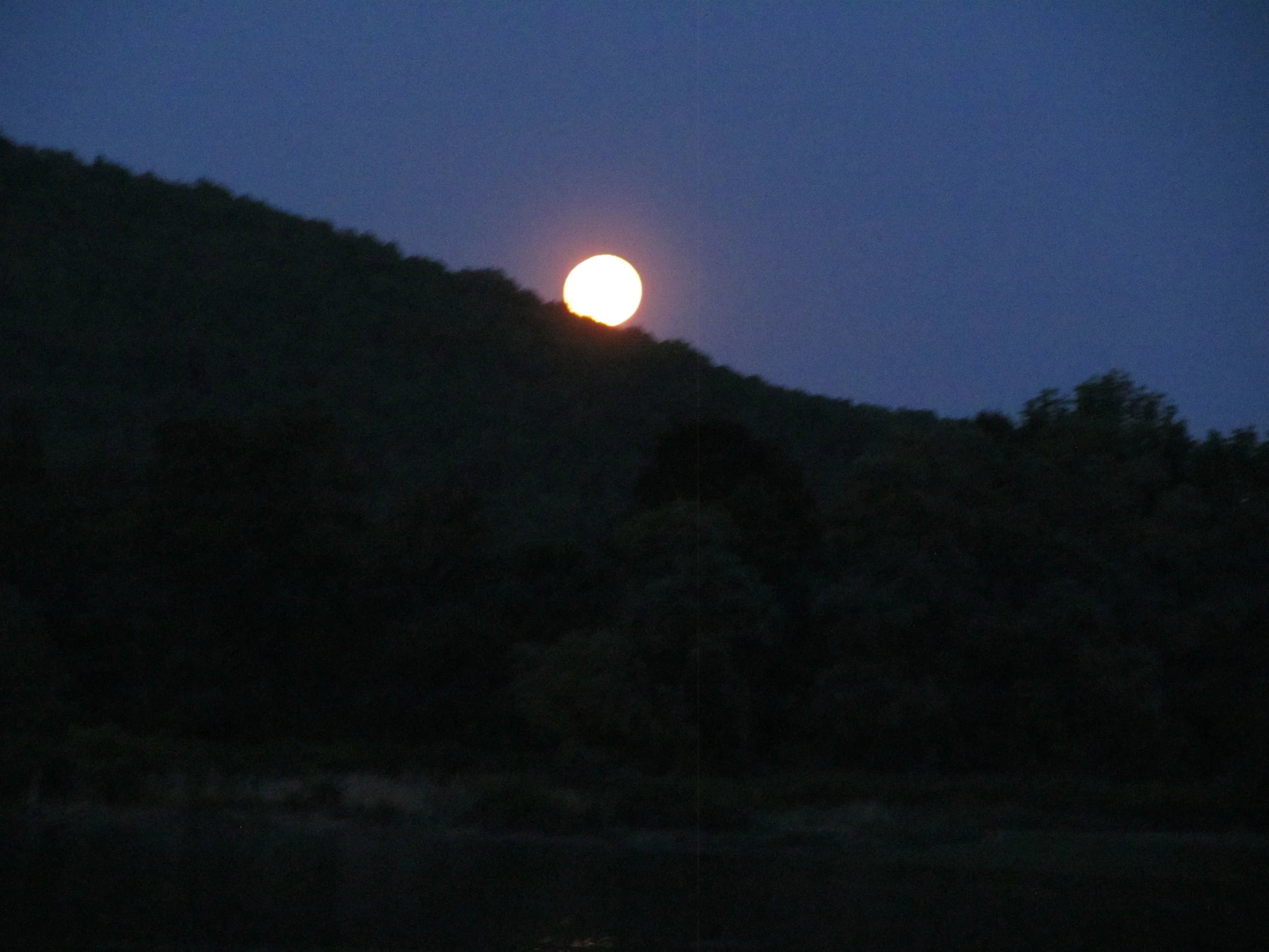 Full moon fishing on the West Branch.