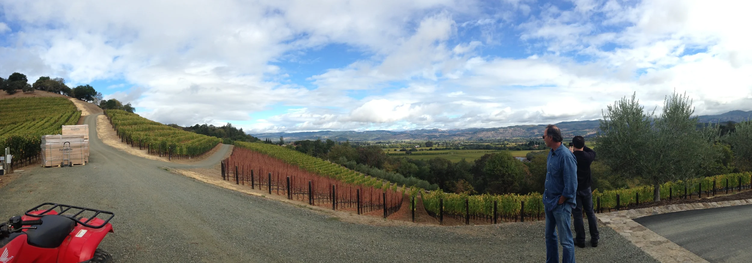 Visit To Napa Valley