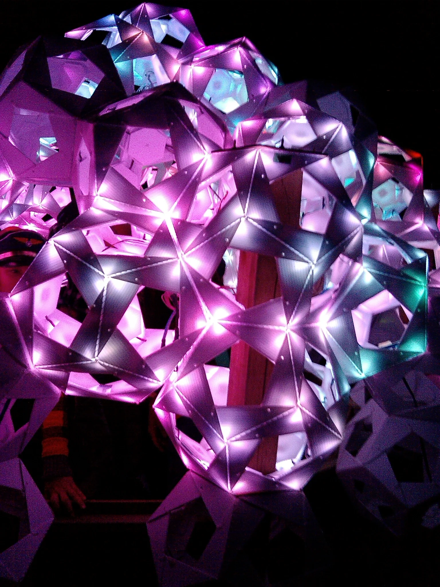 Illuminated Forest What The Festival 2014