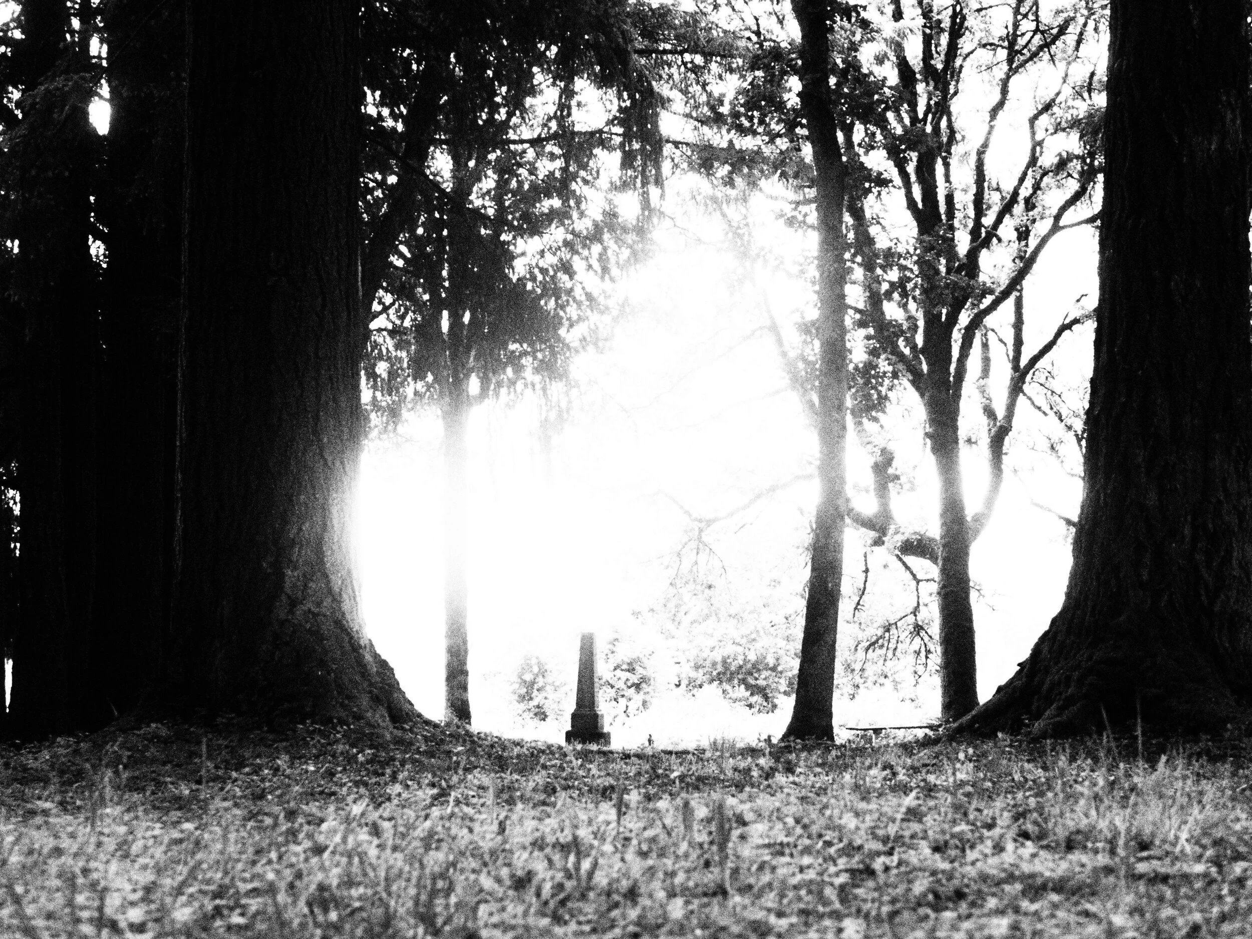 Harrison Cemetery North Plains,  Oregon 2019