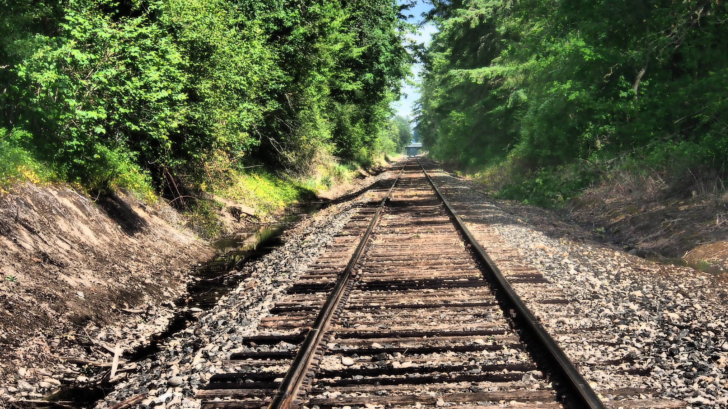 Harrison Cemetery North Plains, Oregon (at the cross roads) 2019