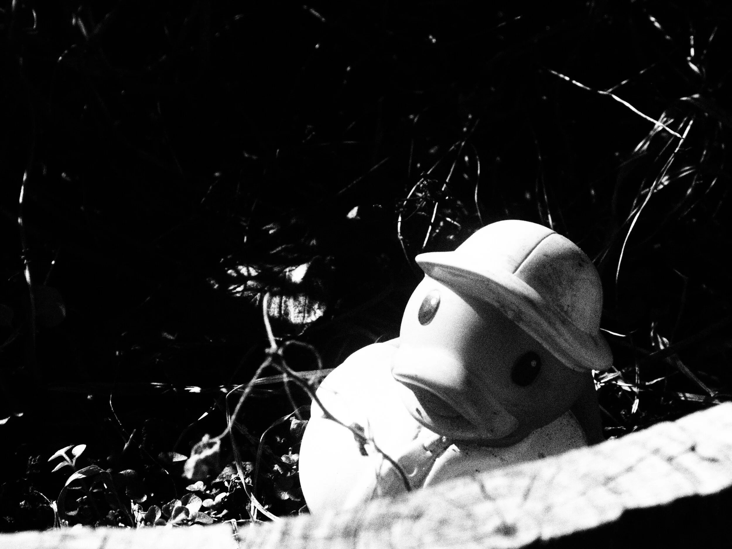 O Captain, My Captain 2019