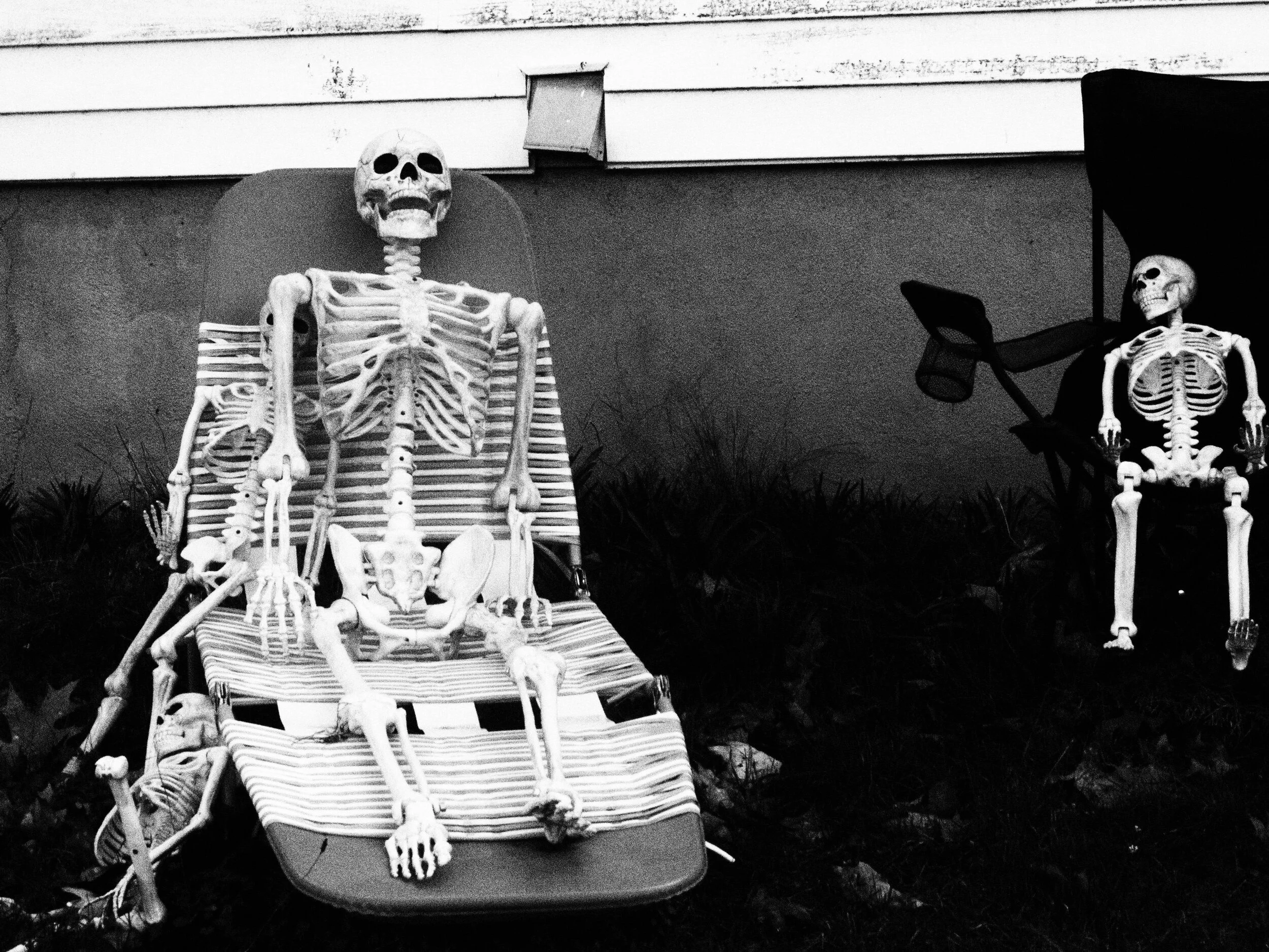 Party Friendly, 2019