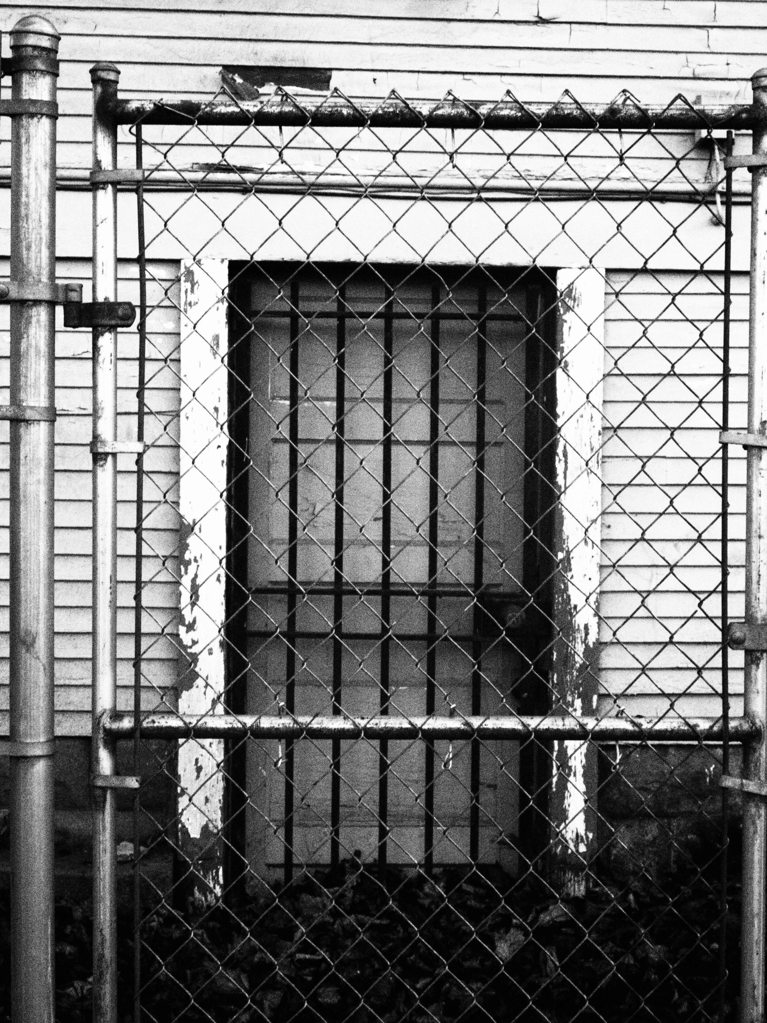 Open Doors and Perfect Bootstraps, 2019