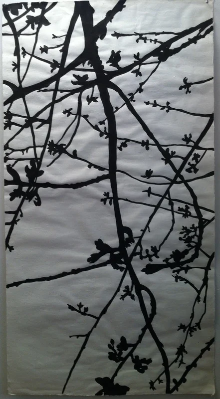 7flag-spring.jpg