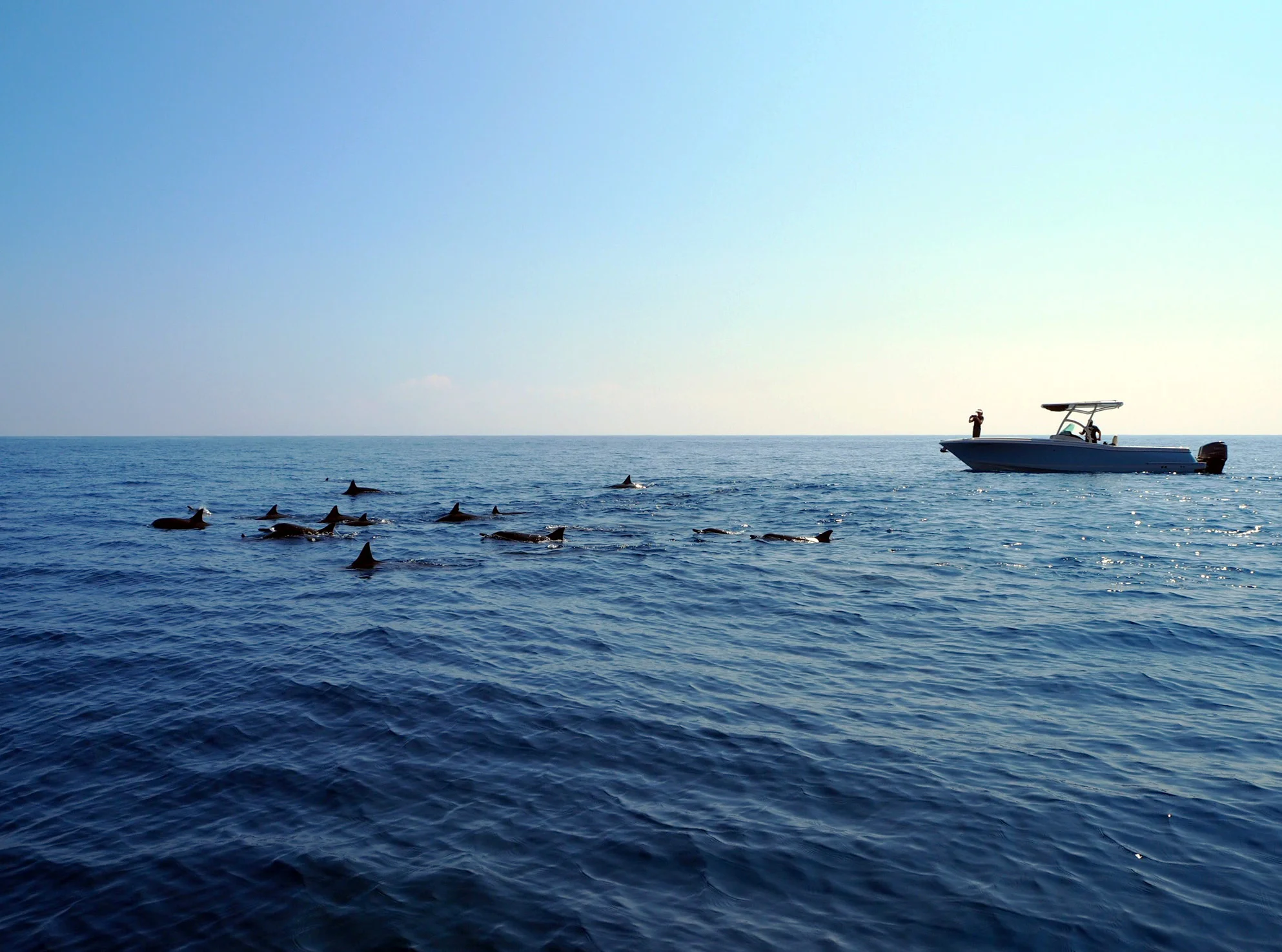 IMG_8394_a.jpg