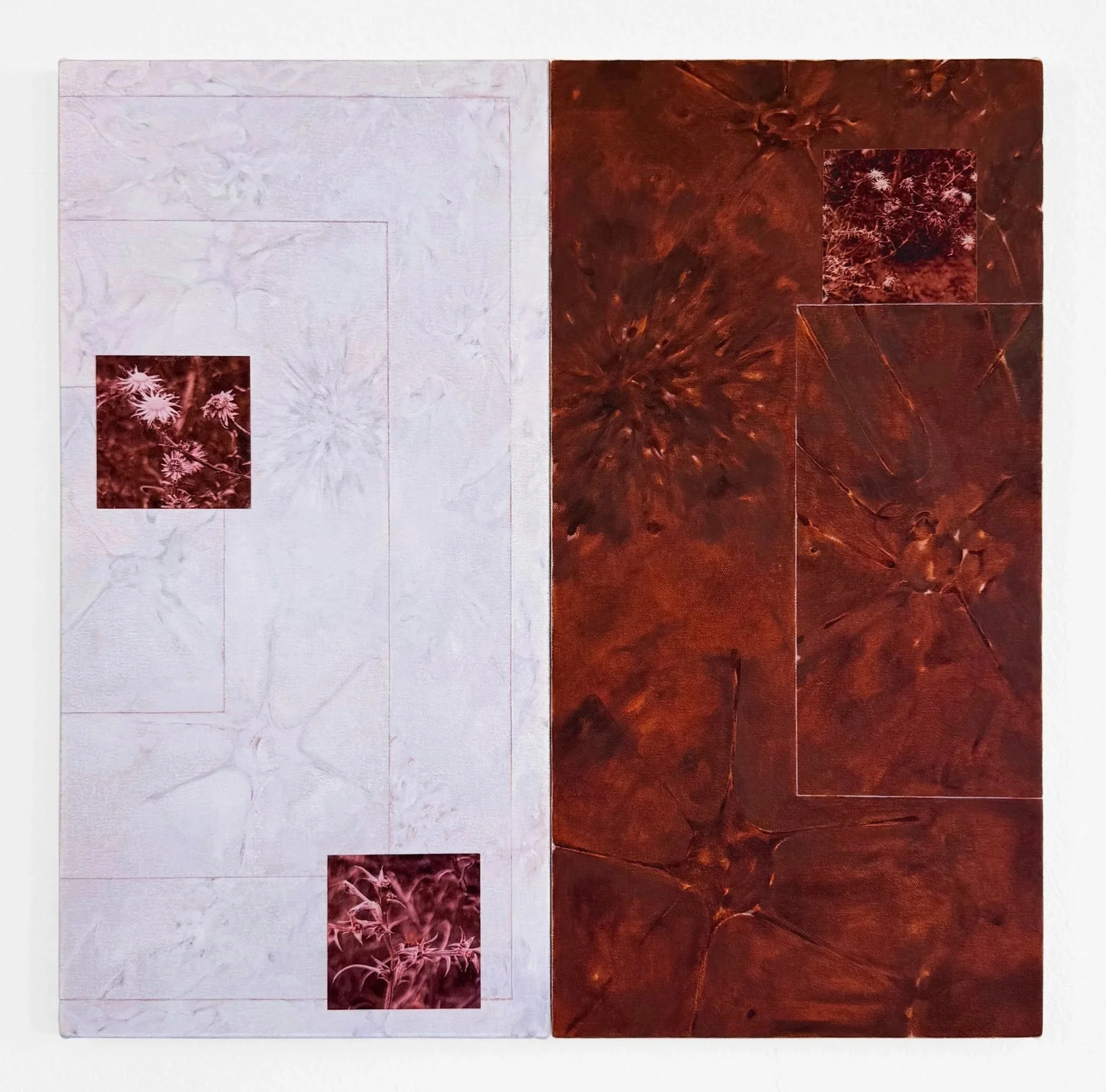   January , 2026  Digital print on Awagami Okawara, colored pencil, and oil on canvas over two panels. 24×24 inches 