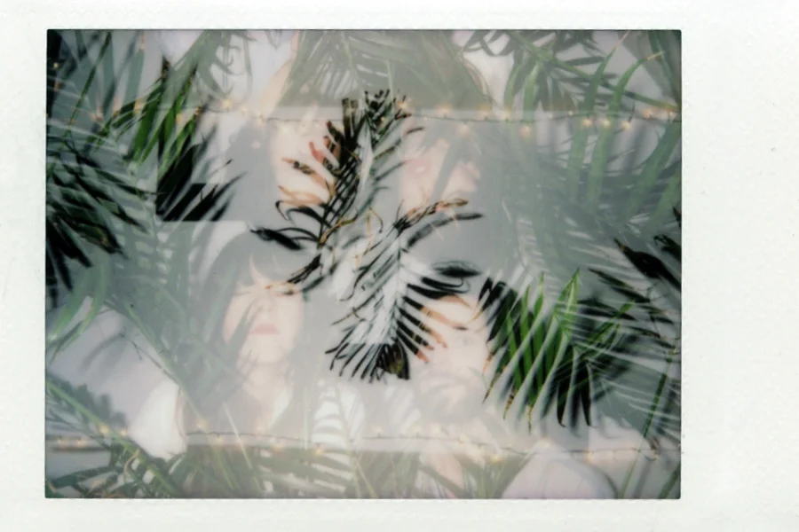 WEEZY FORD Polaroid film