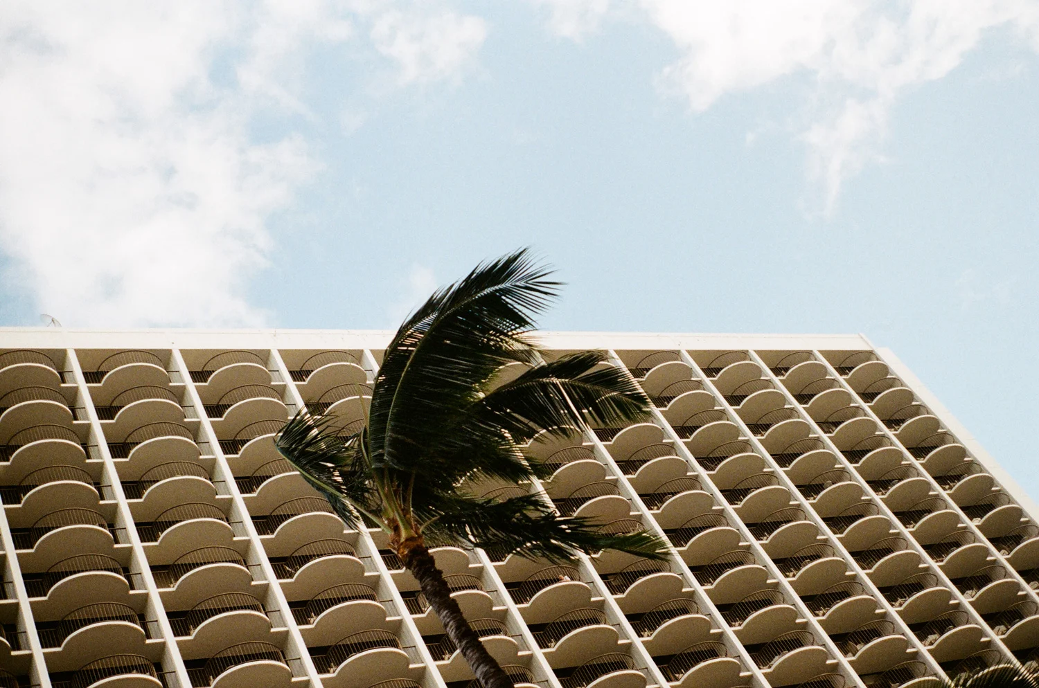 HAWAII 35mm film