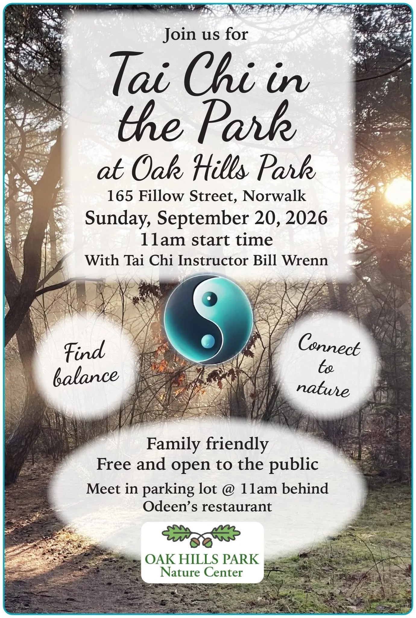 Tai Chi in the Park 