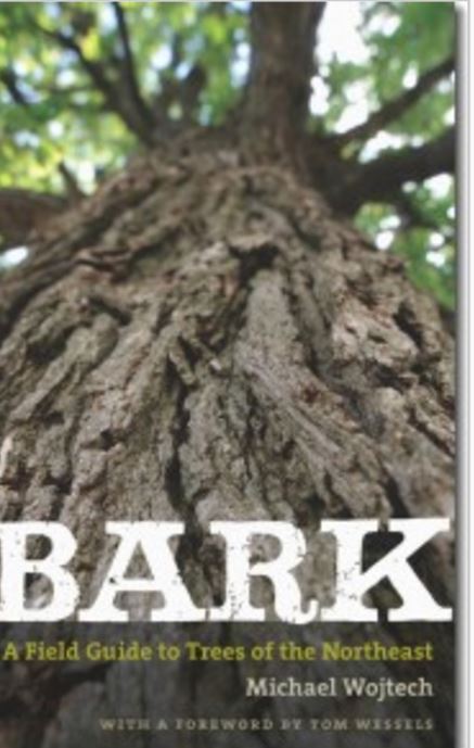 Don't Bark Up The Wrong Tree:Get to Know Your Trees