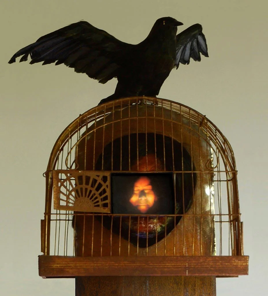 when_caged_birds_sing.jpg