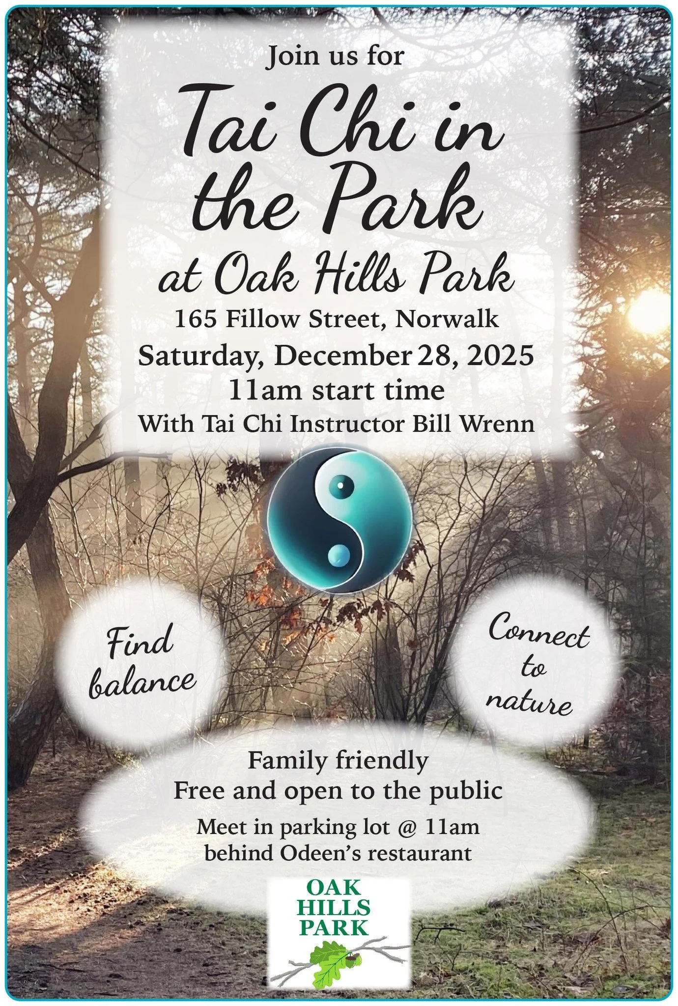 Tai Chi in the Park 