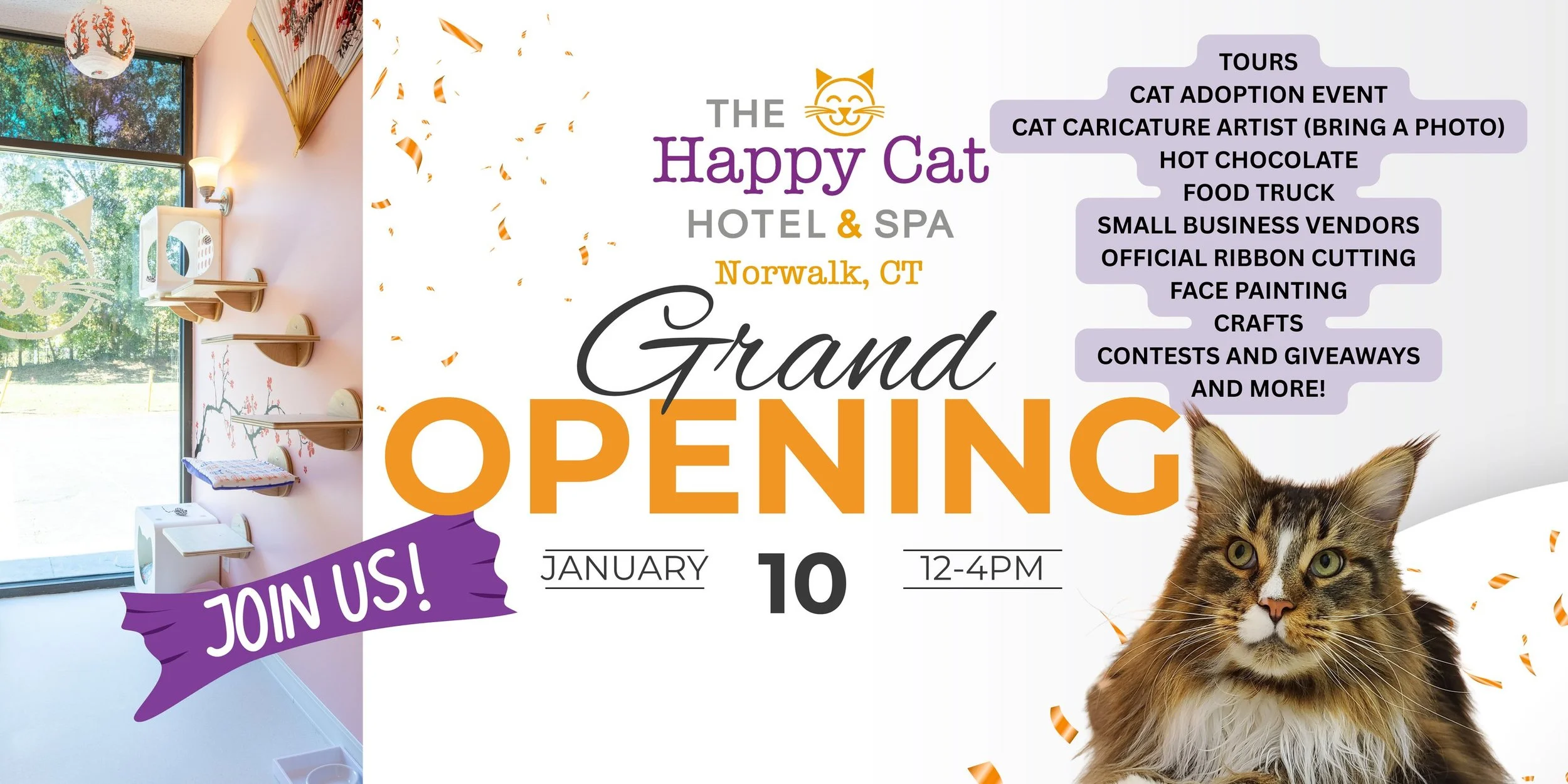 Happy Cat Hotel &amp; Spa Grand Opening 