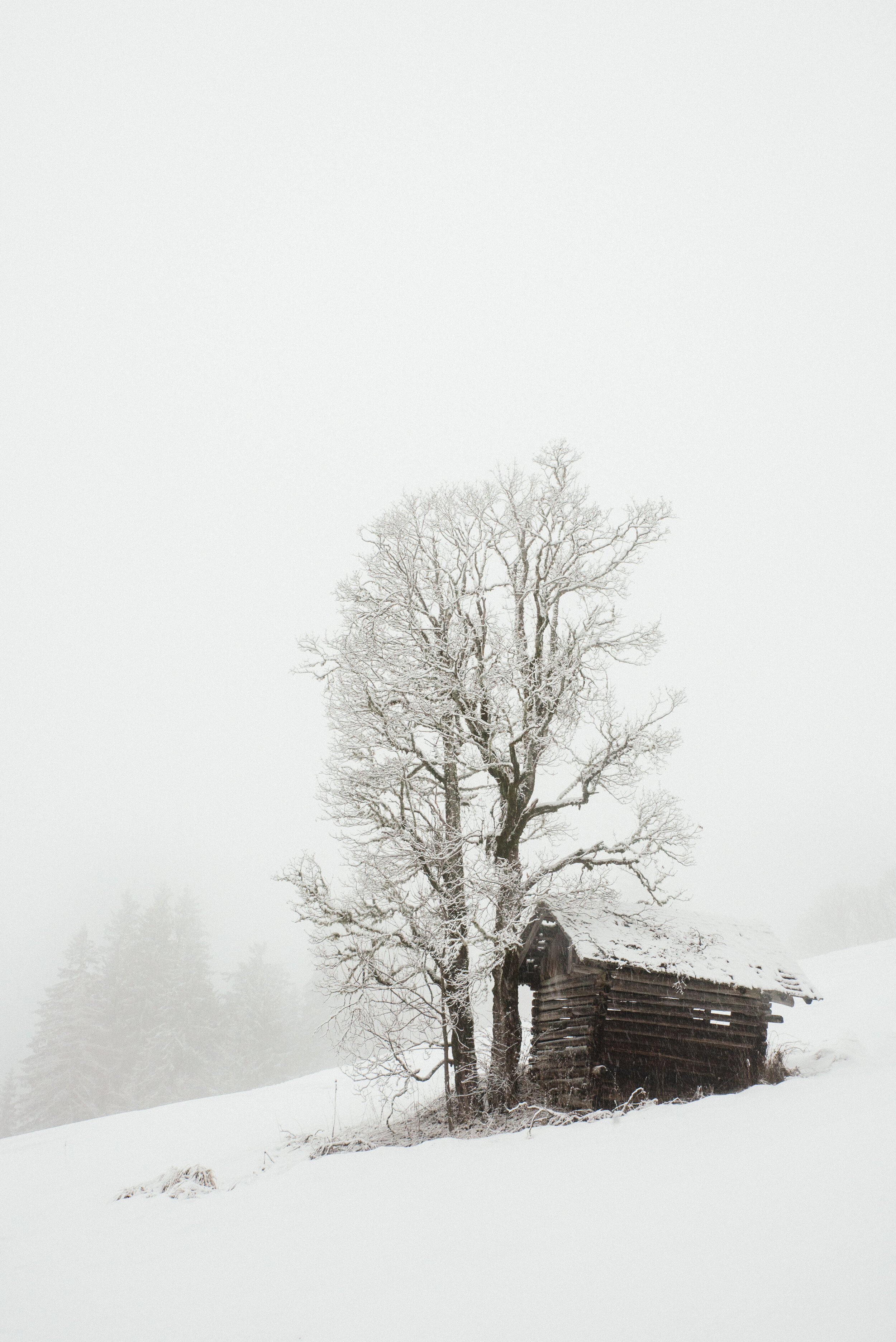 DSC_1612.jpg