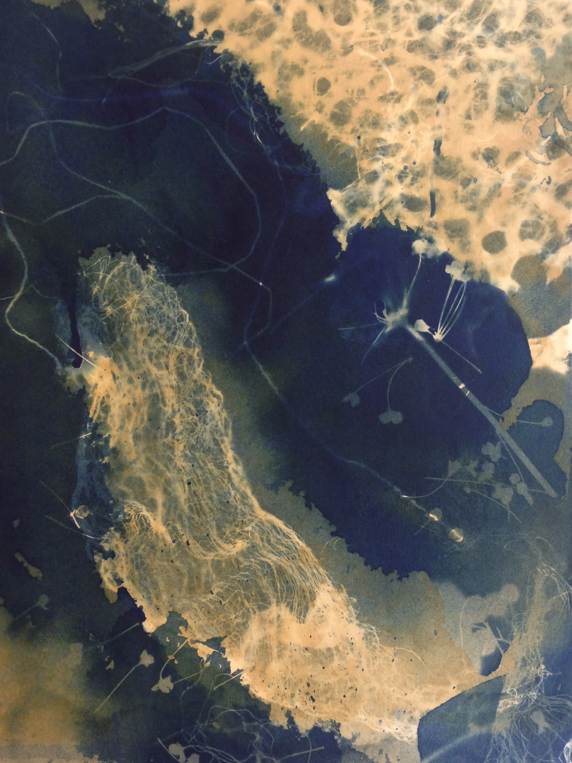 2_SABourne_RiverWeb2.jpg