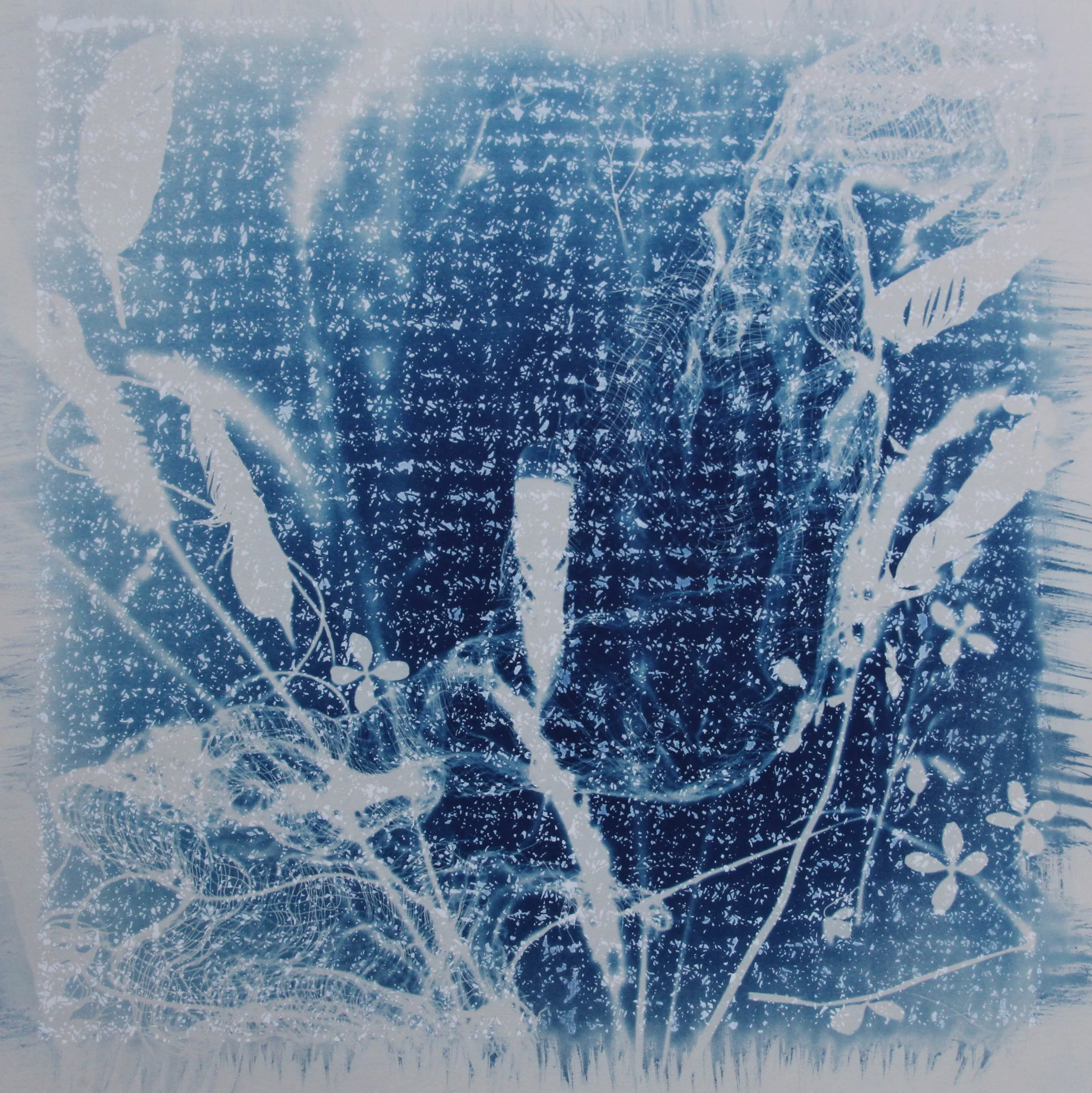 SarahBourneRafferty_cyanotype-4.jpg