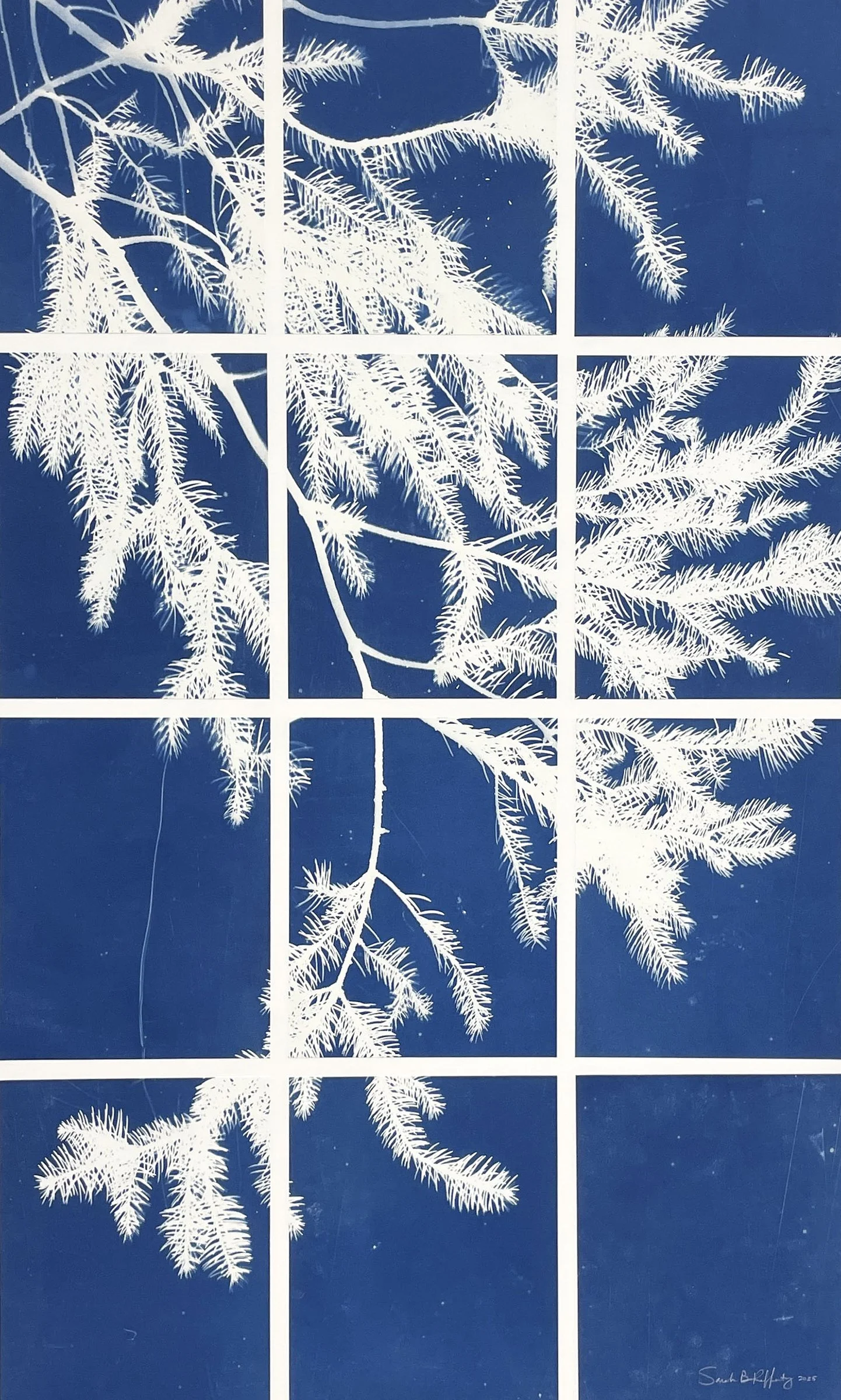 SarahBourneRafferty_Looking Up_6.JPG