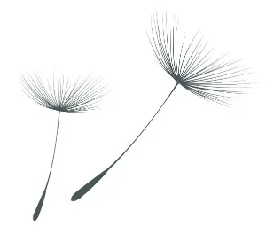 Take a Breath Presenter Training