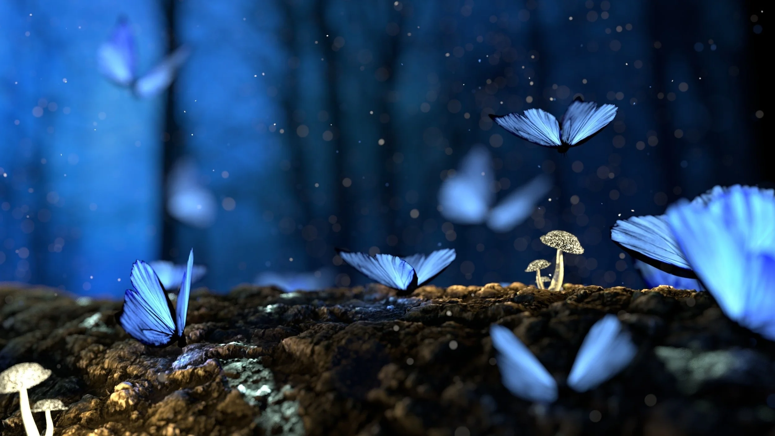 beautiful-blur-bright-326055.jpg