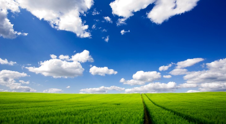 nature-field1-730x400.jpg