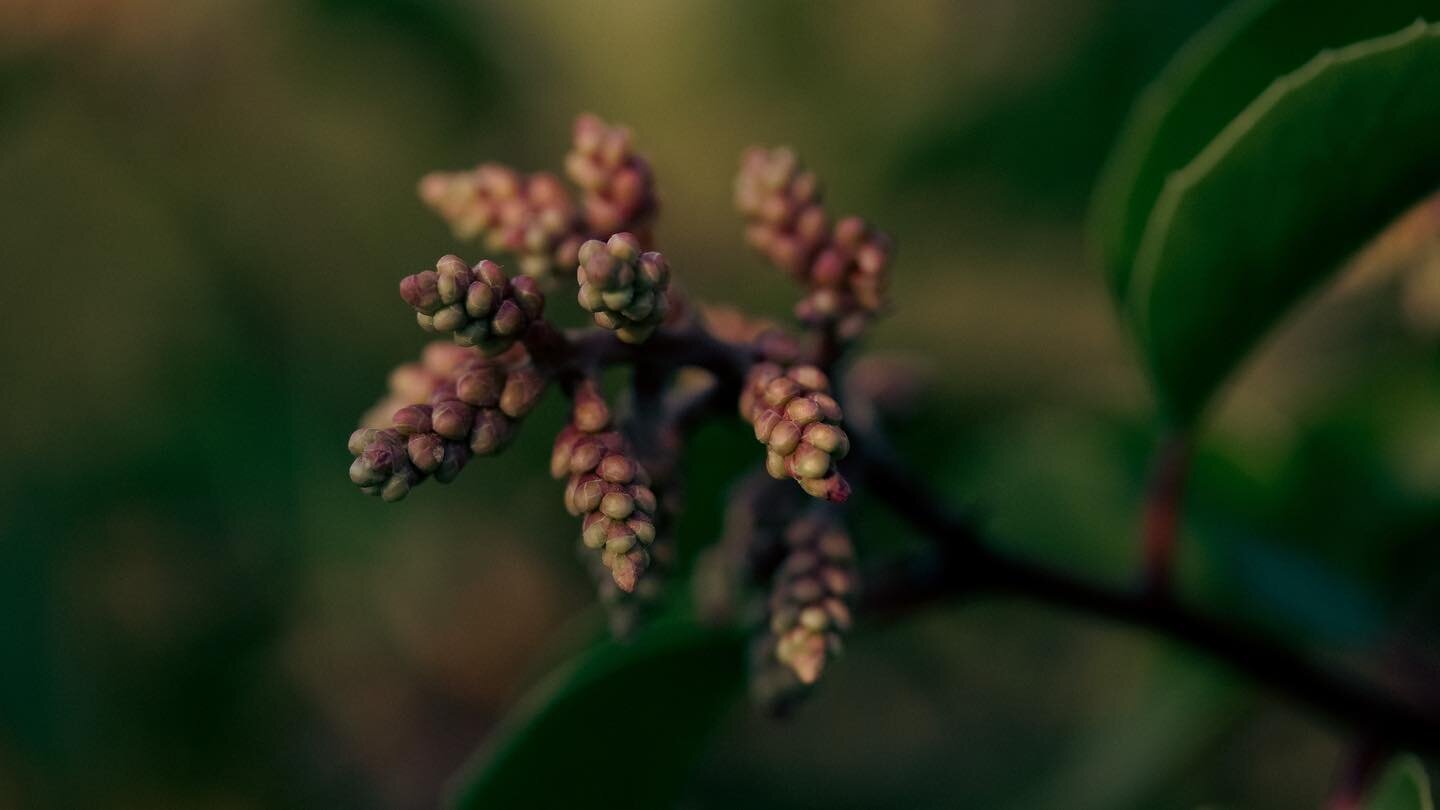 MOTHER Earth 

#losangelesphotographer #photographer #storytelling  #filmmaker #larealstory #frenchfilmmaker #storyteller #sonyalpha #sonyalphafemale #sonyartisan #cinematic #cinematicphotography 
#losangelesfilmmaker #photoshoot #california #calilif