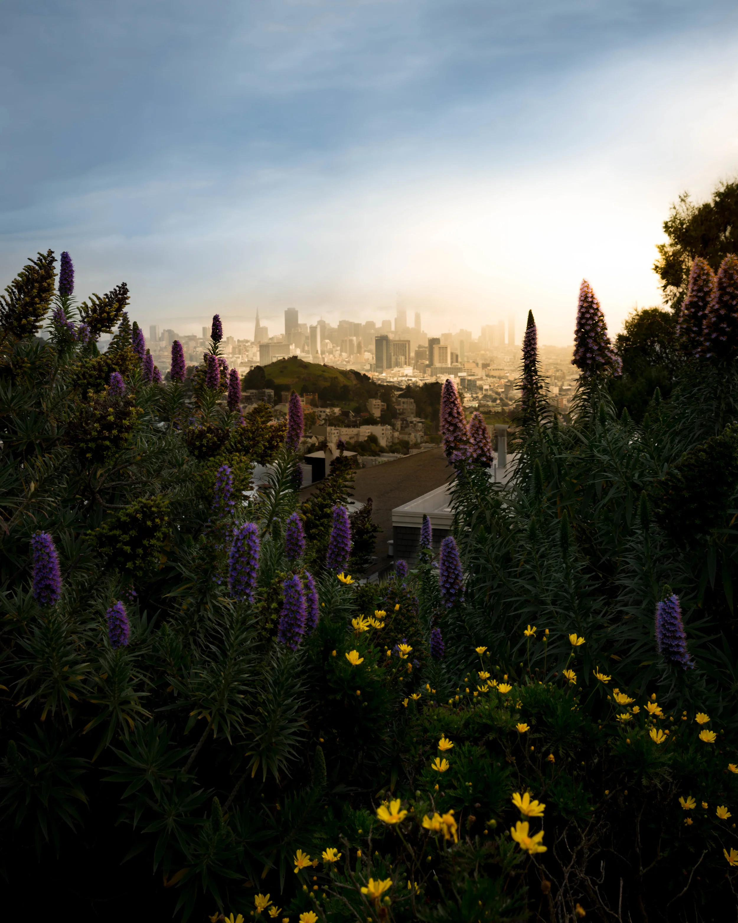 first light in the city