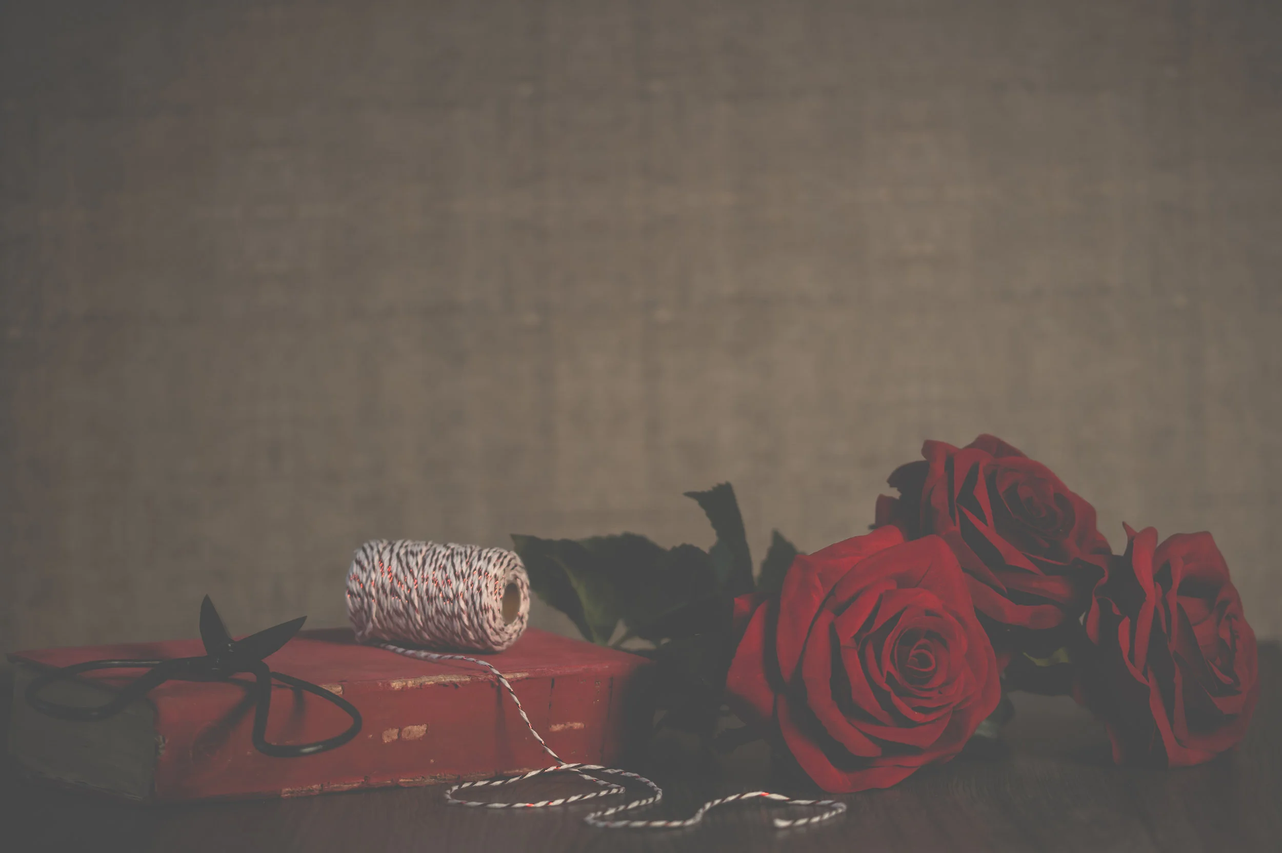roses-rose-scissors-book-love-red-1418880-pxhere.com.jpg