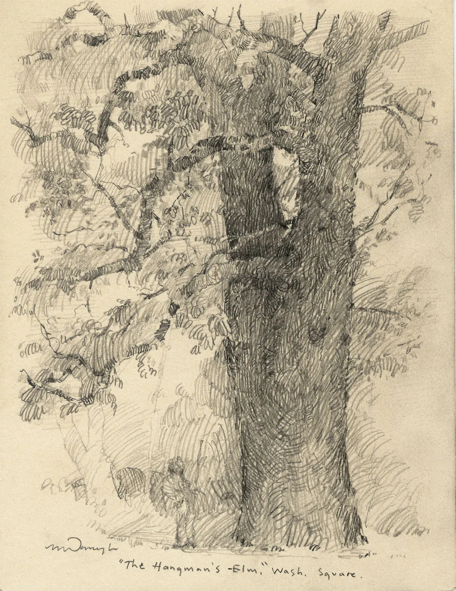 Hangman's-Elm.jpg
