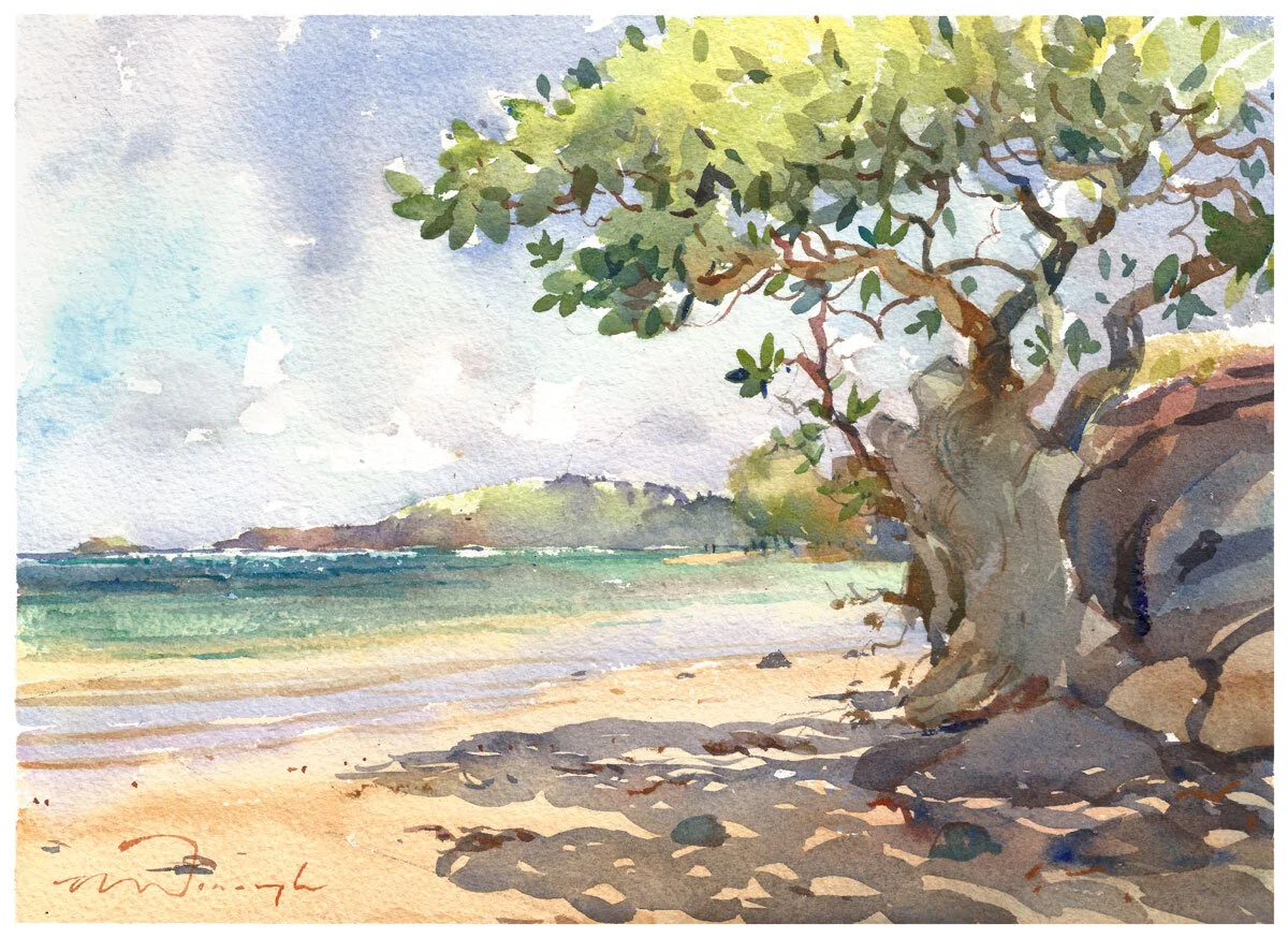 "Under the Almond Tree" Anini Beach, Kauai