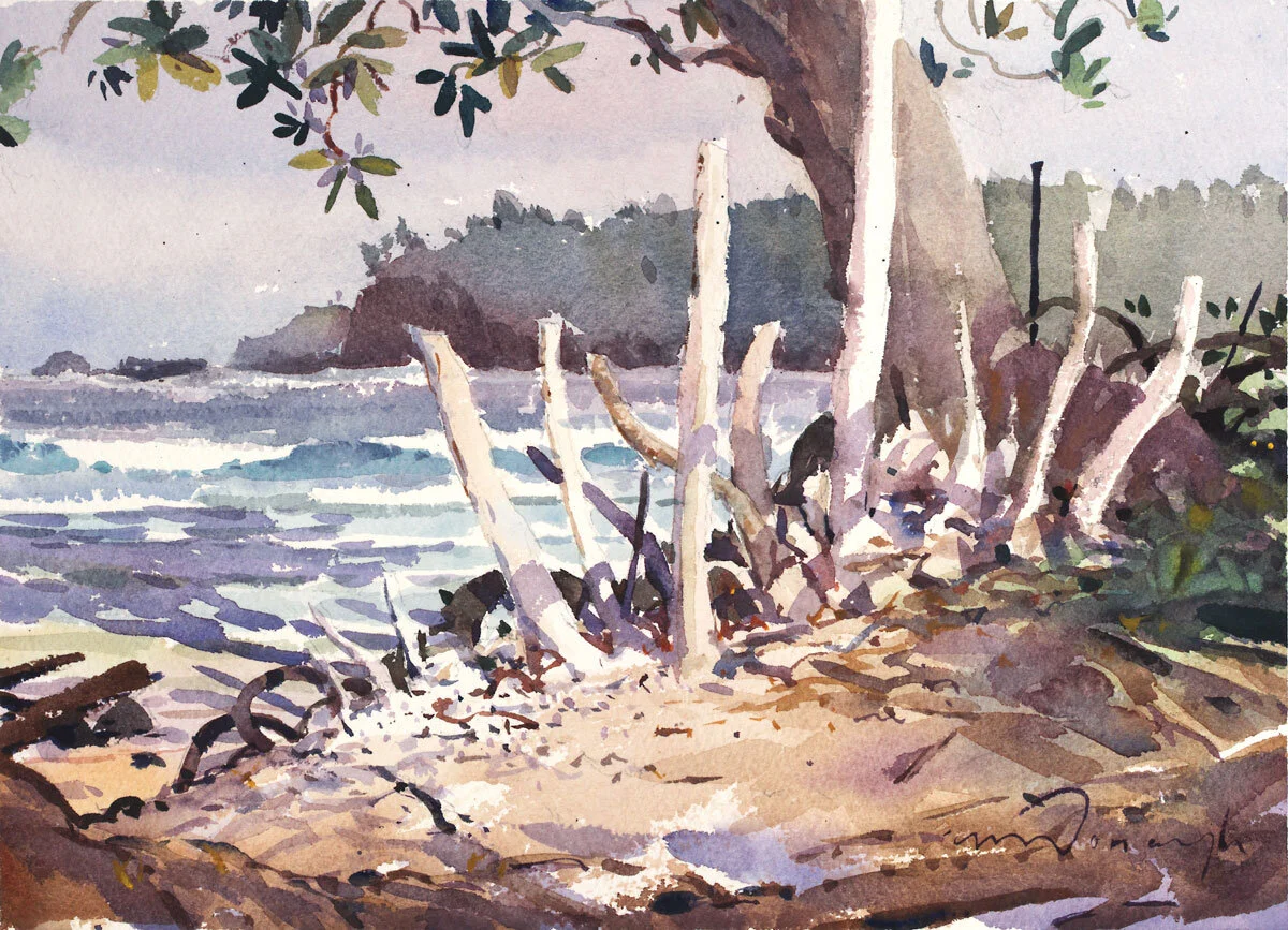 "Driftwood Fence" Anini Road Kauai