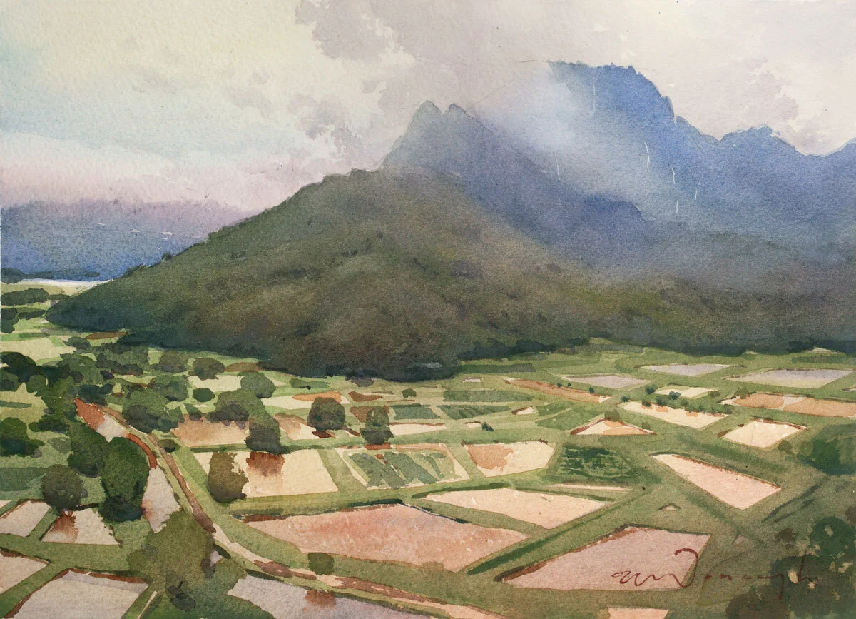 "Winter Mists" The Princeville Lookout, Hanalei Valley, Kauai