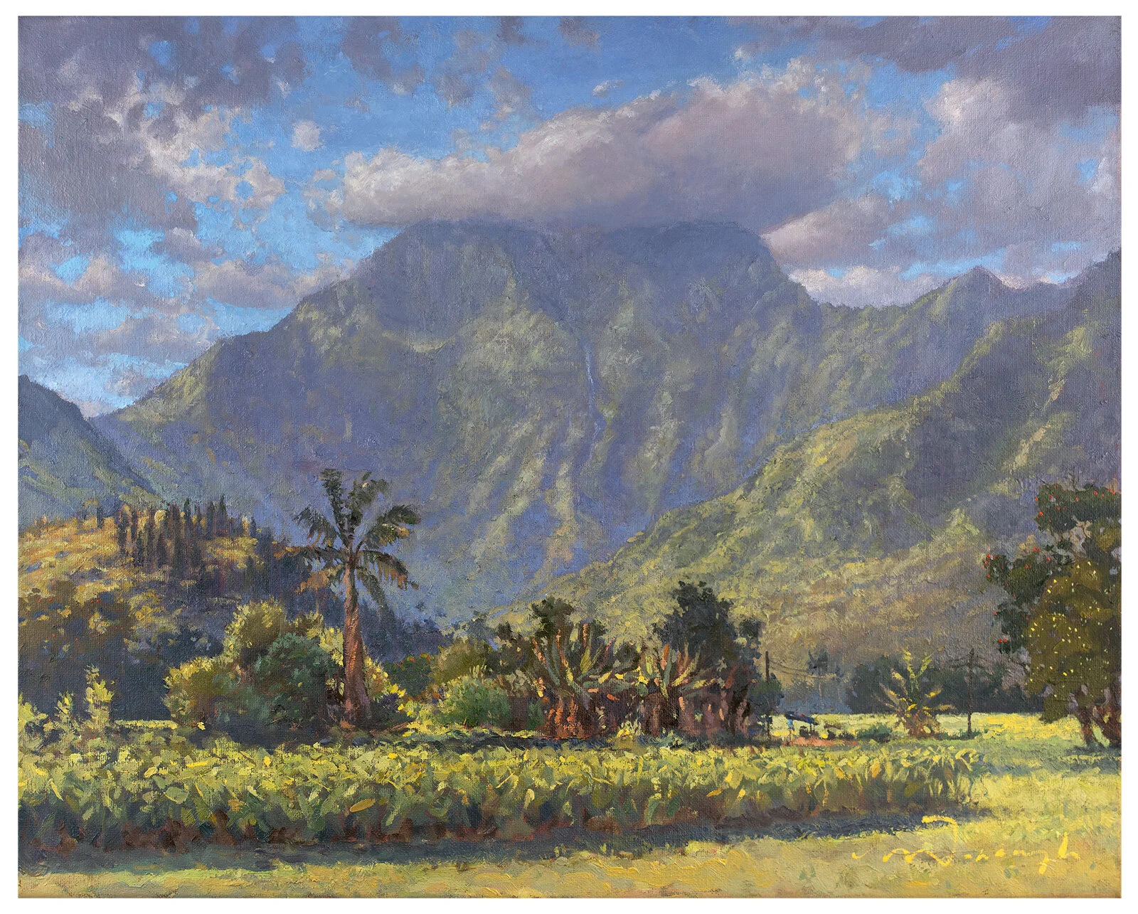 "Namolokama Above the Taro Fields" Hanalei River Valley, Kauai. Fine Art Print
