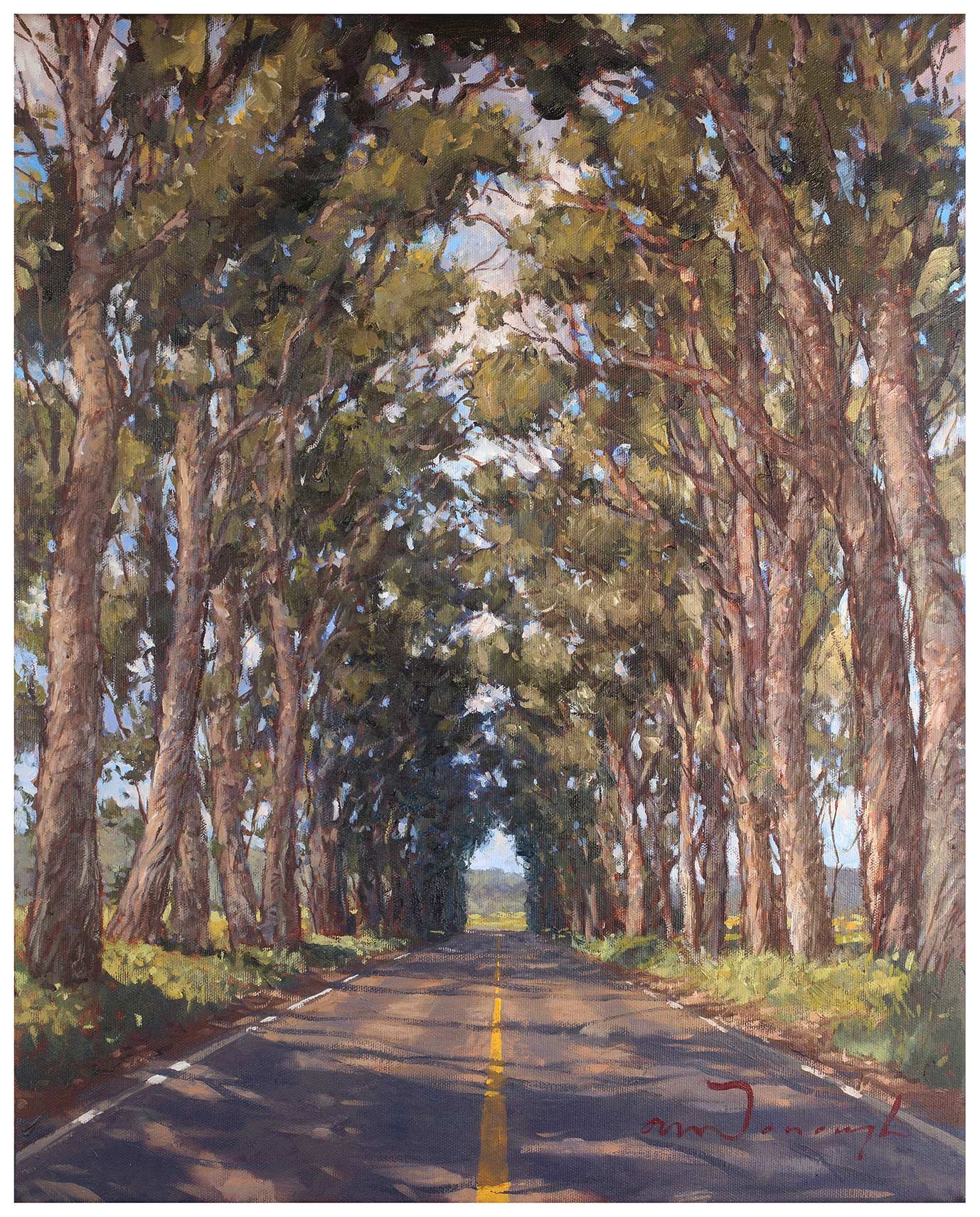 "The Tree Tunnel" Maluhia Rd.