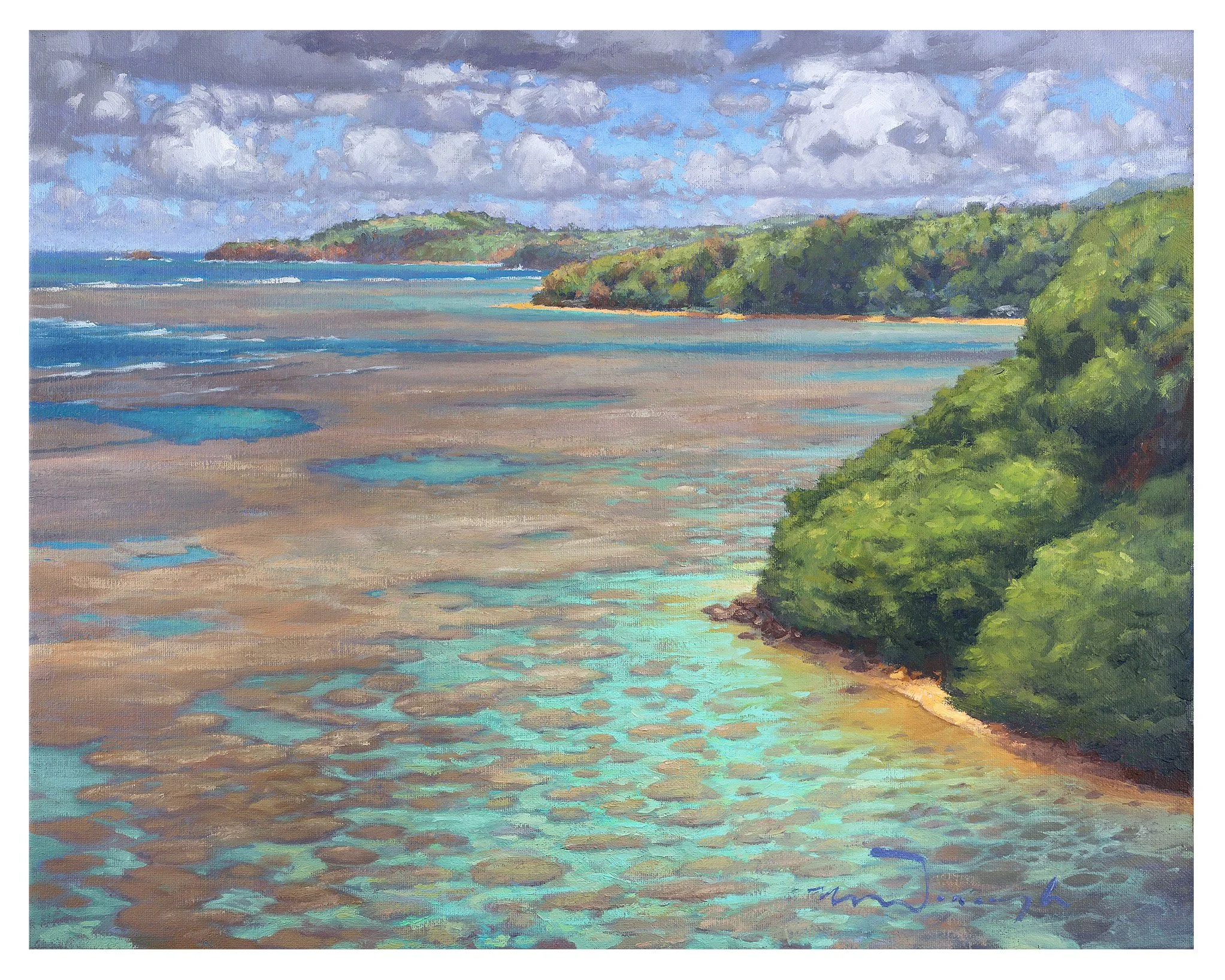 Anini Reef_for web.jpg