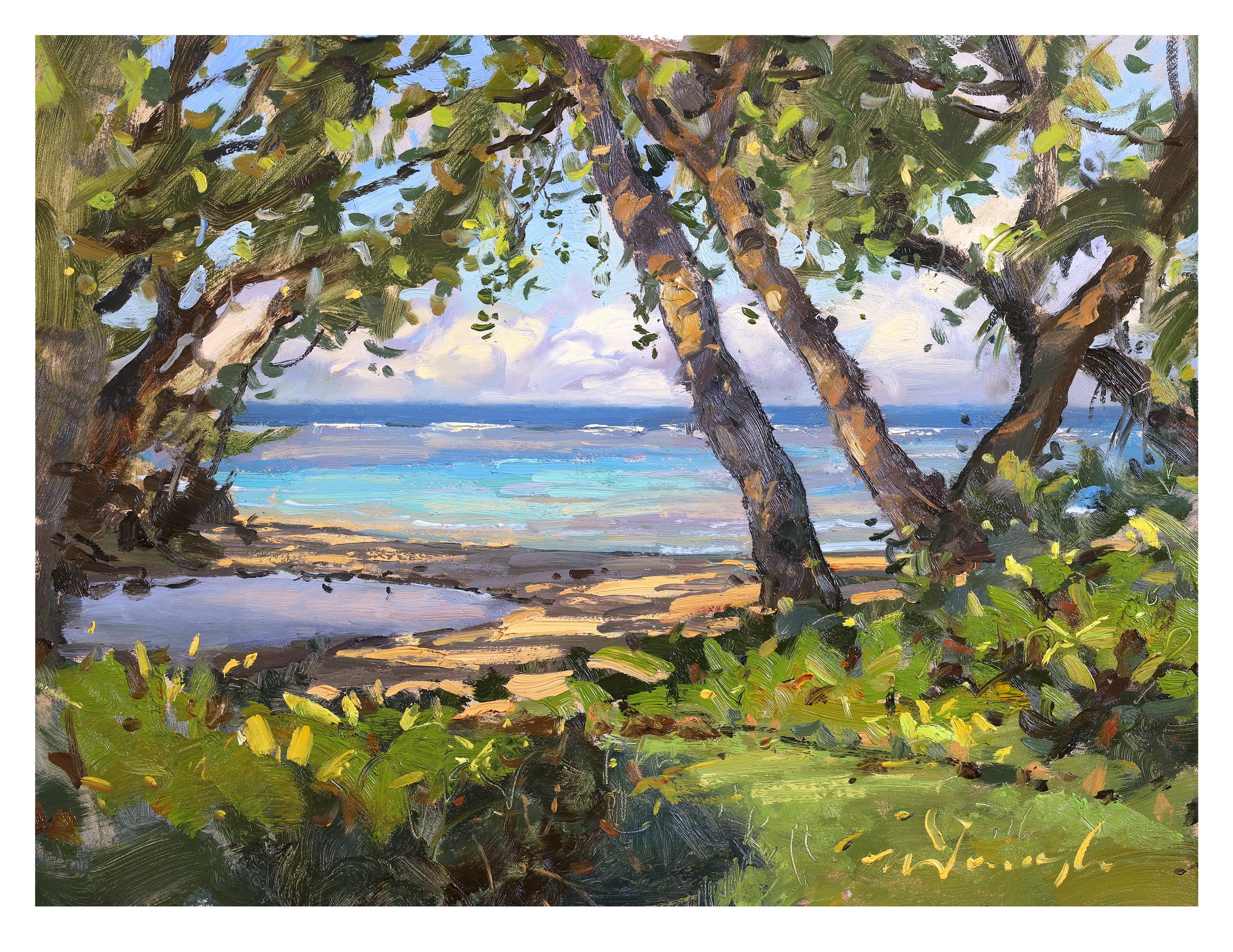 View by the Stream (Anini April 2024)_8.jpg