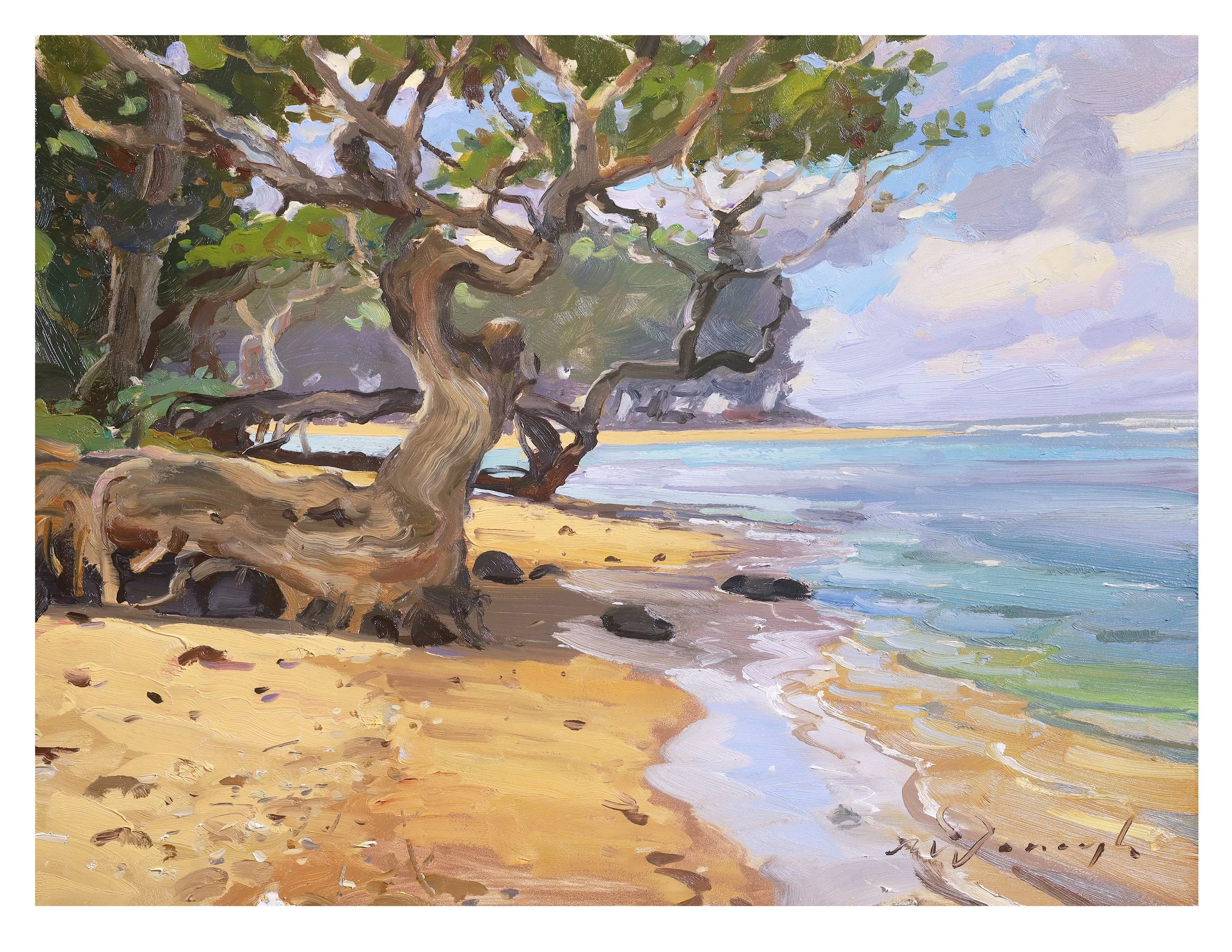 Roots, Rocks, Reggae (Anini Beach).jpg