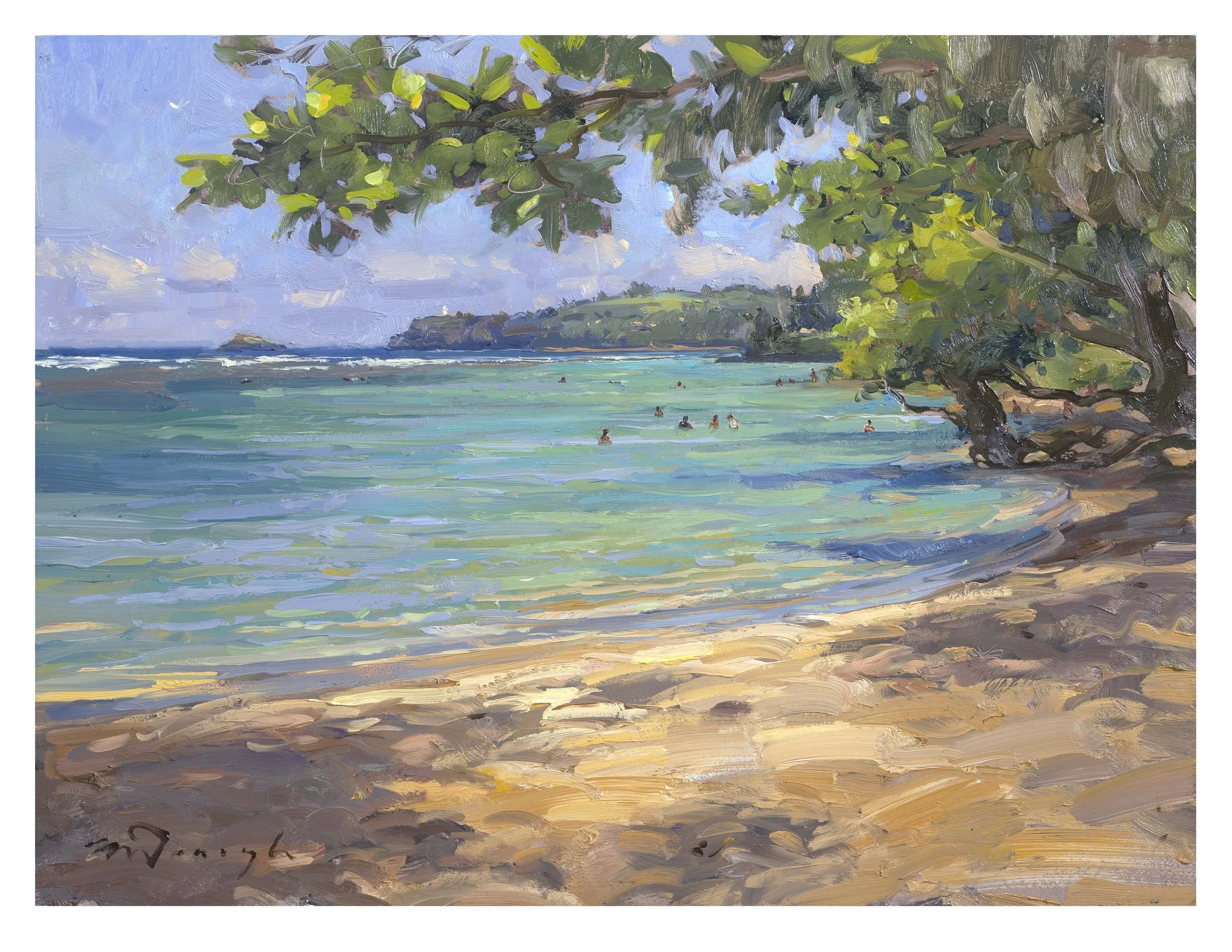 Anini Beach.jpg
