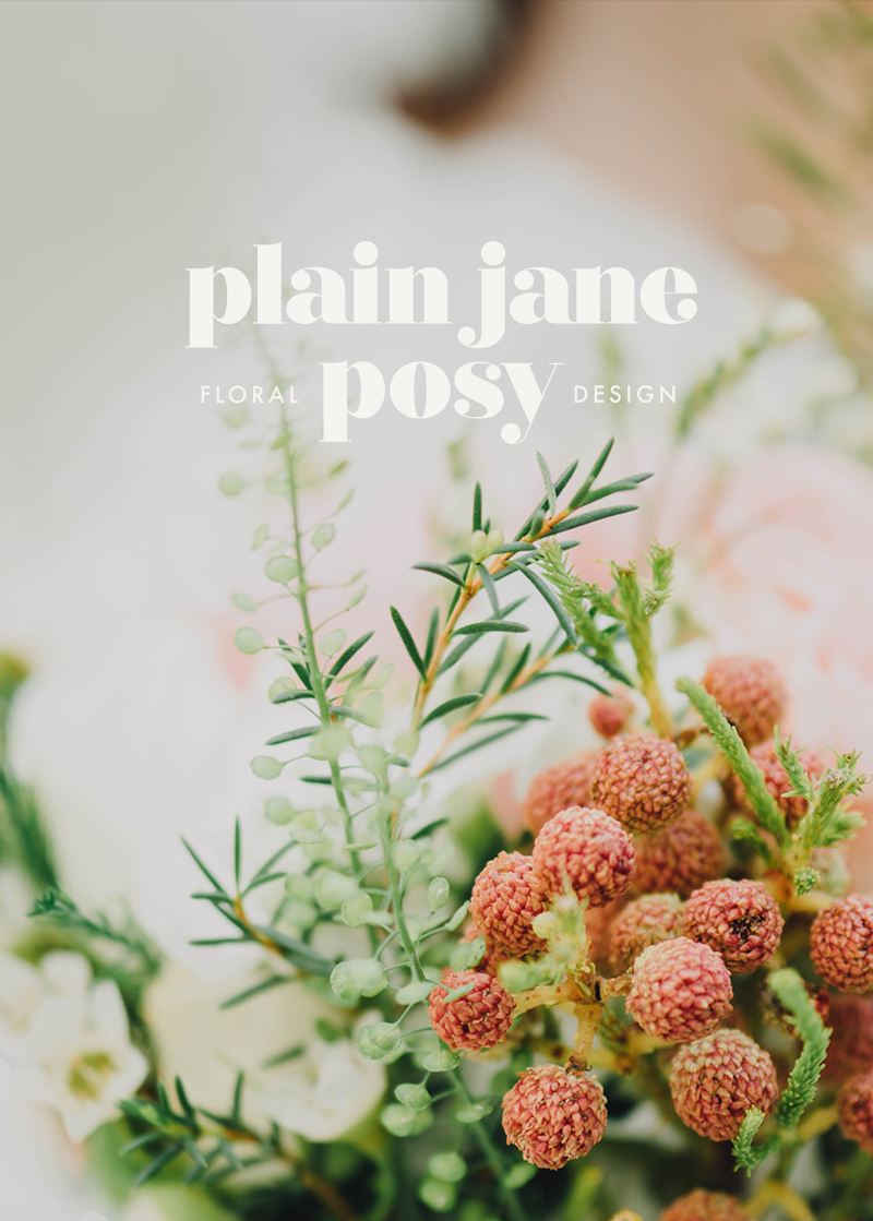 plainjane.png