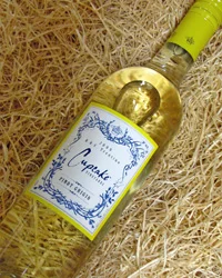 pinot g.jpg