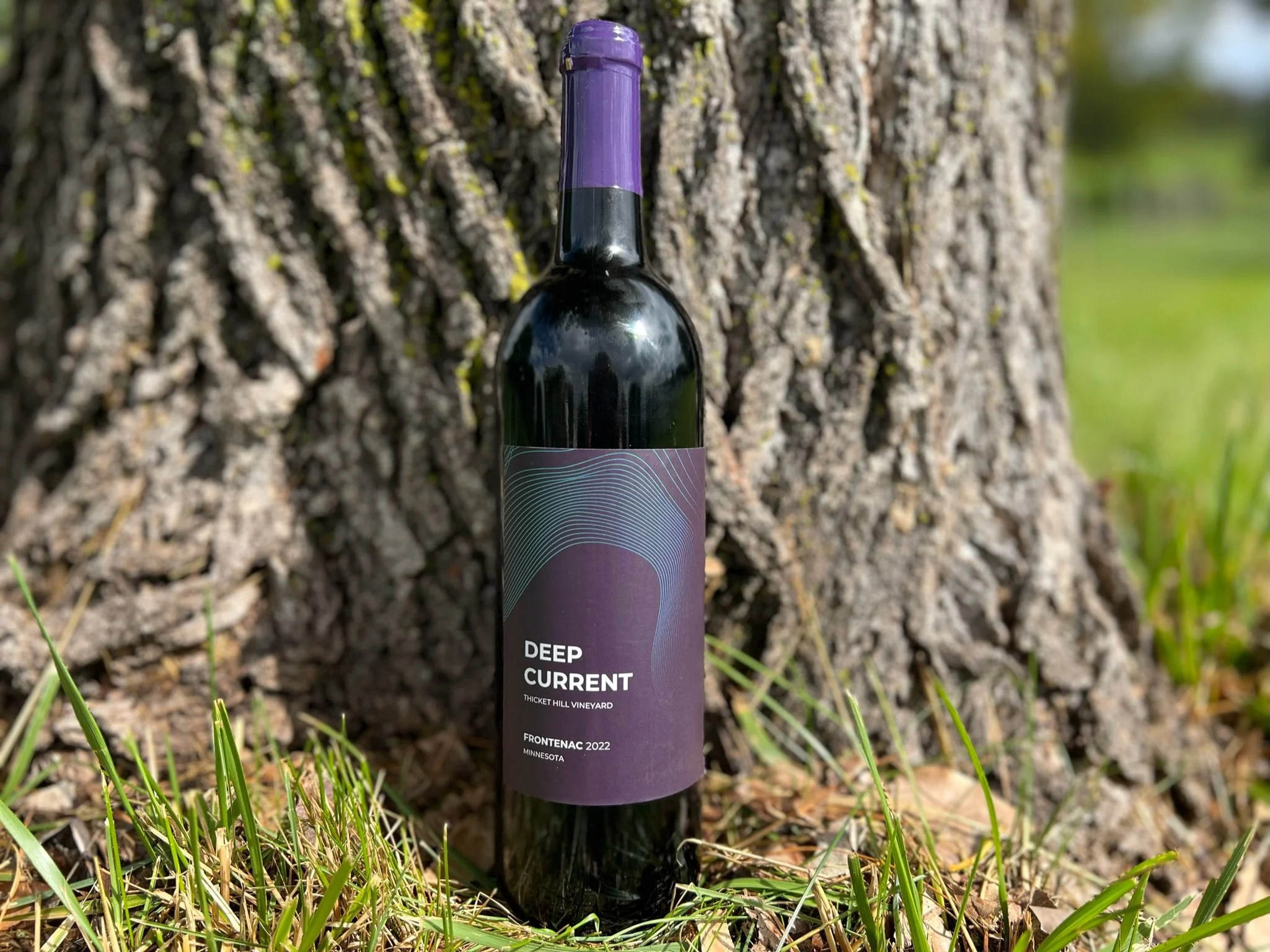 Deep Current 2022 pic.JPG