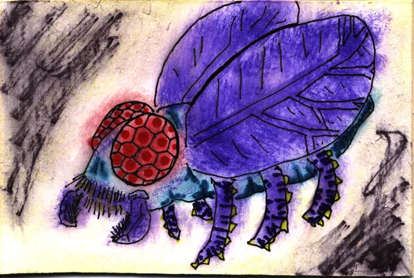 Fly
