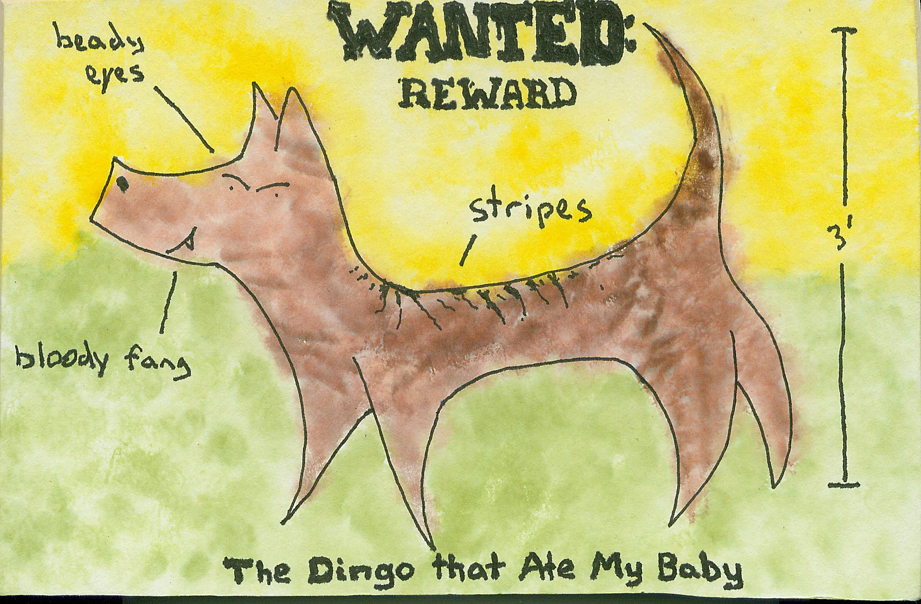 Dingo